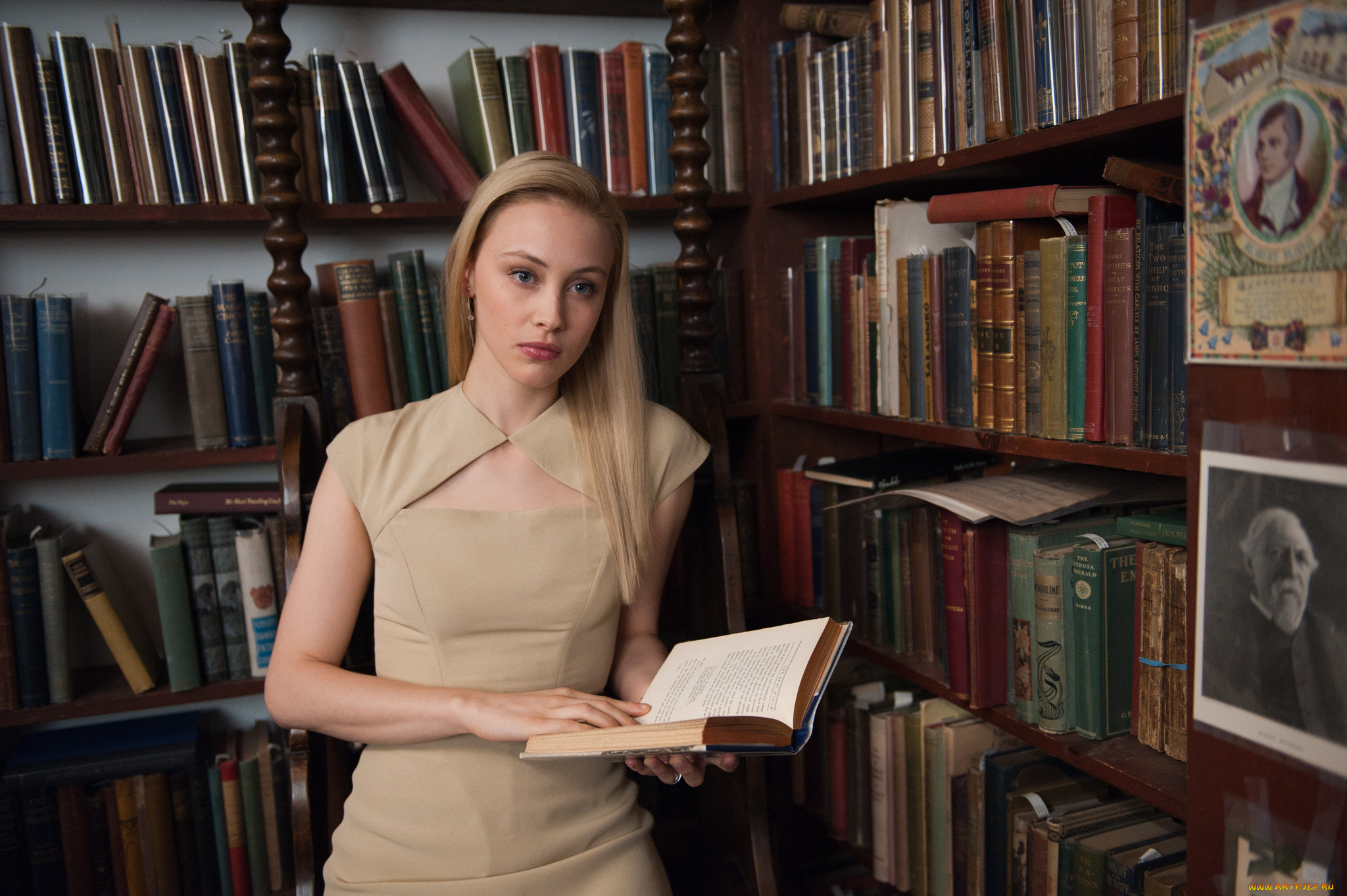 кино, фильмы, cosmopolis, книги, актриса, блондинка, портреты, библиотека, полки