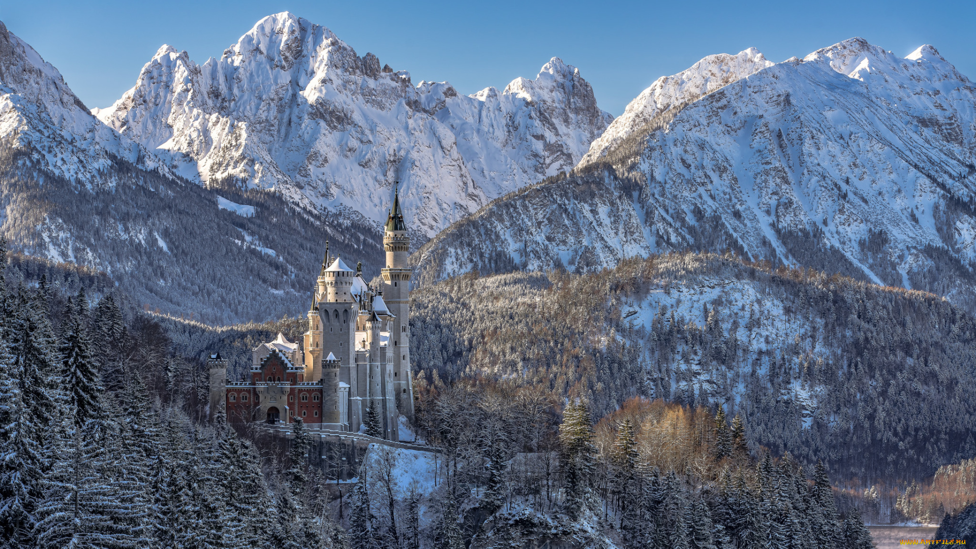 neuschwanstein, castle, -, bavaria, города, замки, германии, горы, замок, лес
