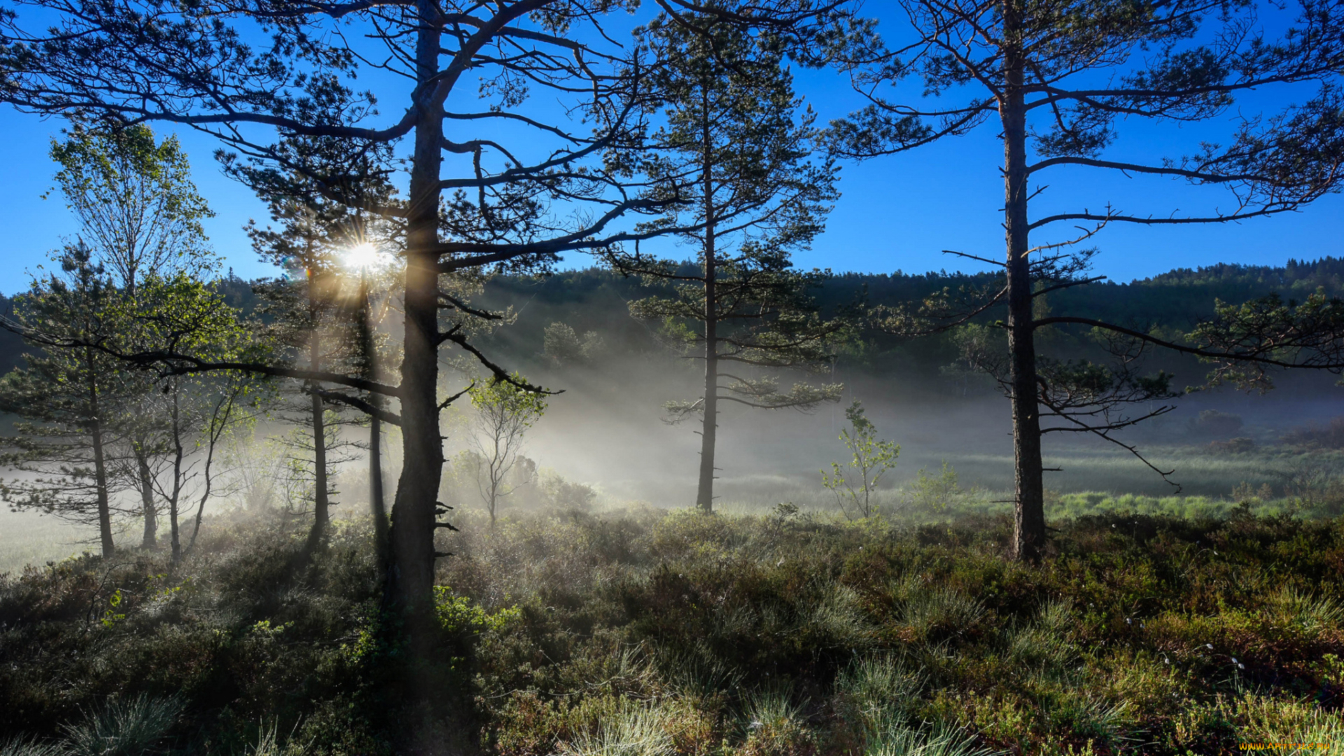 природа, восходы, закаты, рассвет