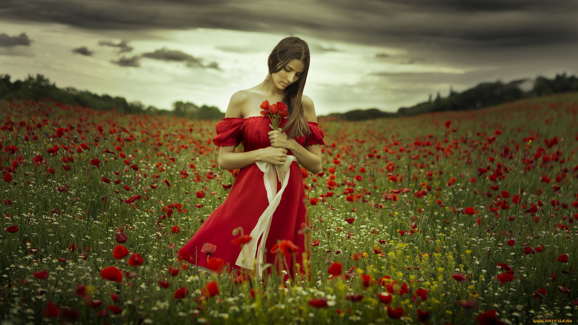 девушки, -unsort, , брюнетки, , шатенки, лицо, взгляд