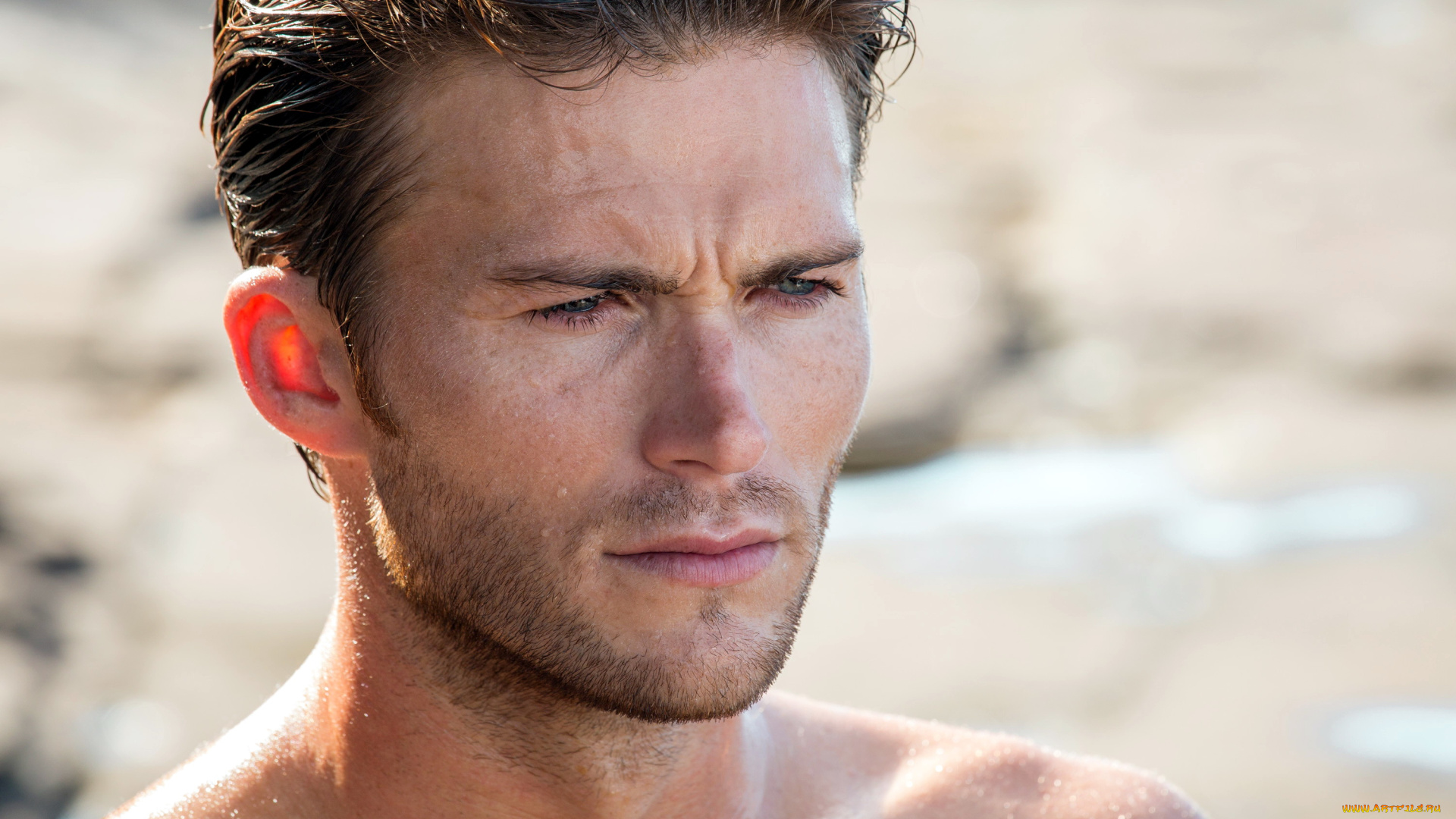 мужчины, scott, eastwood, щетина