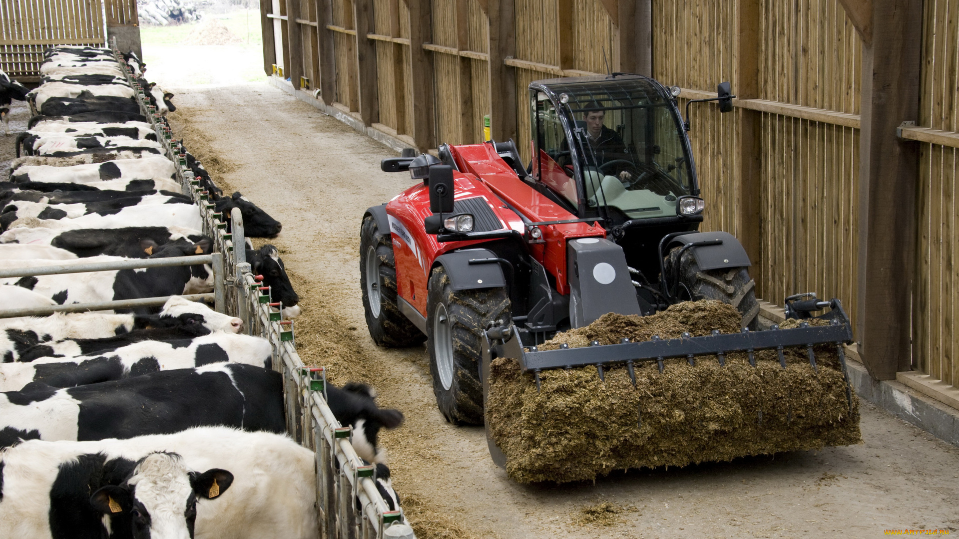 техника, другое, massey