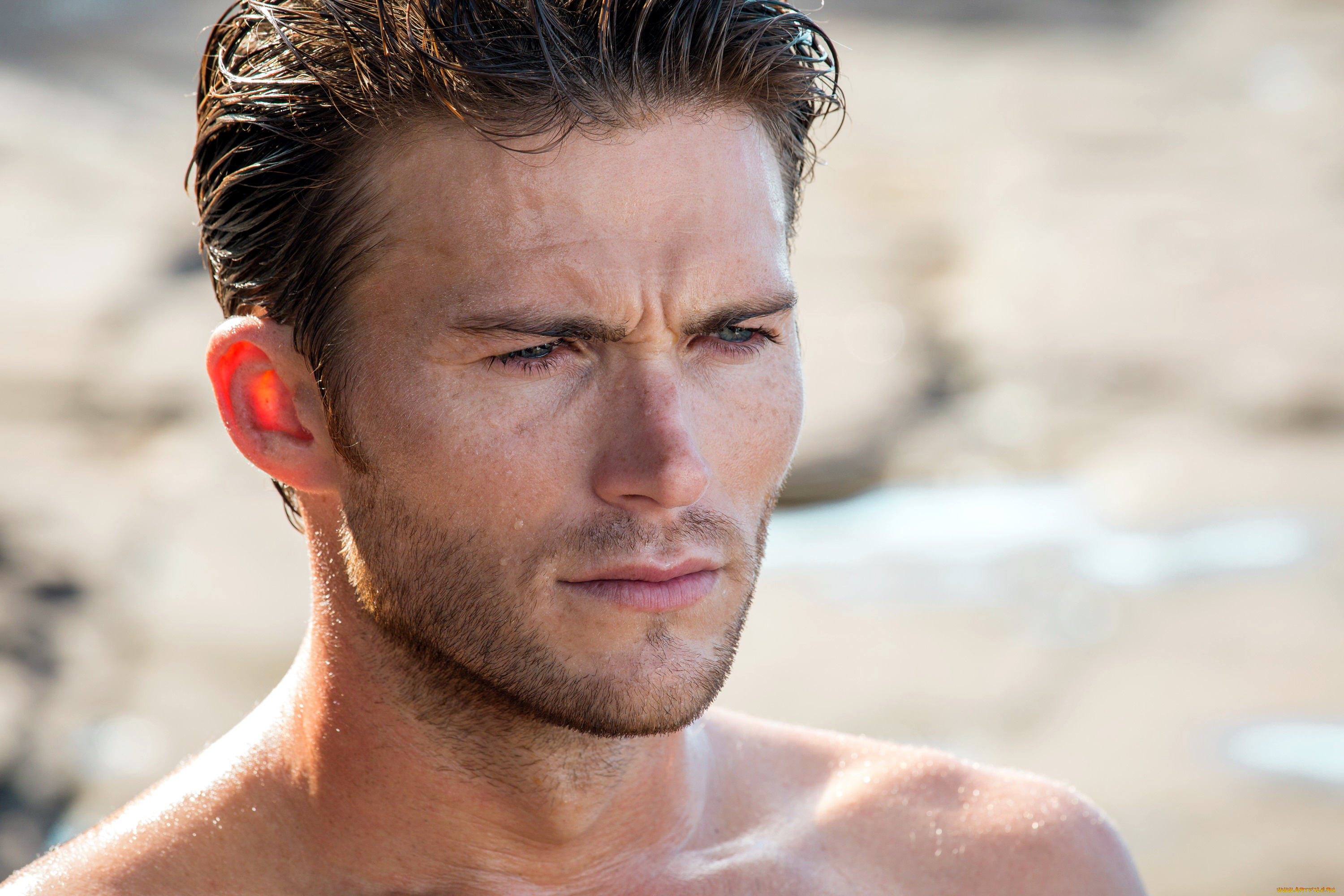 мужчины, scott, eastwood, щетина