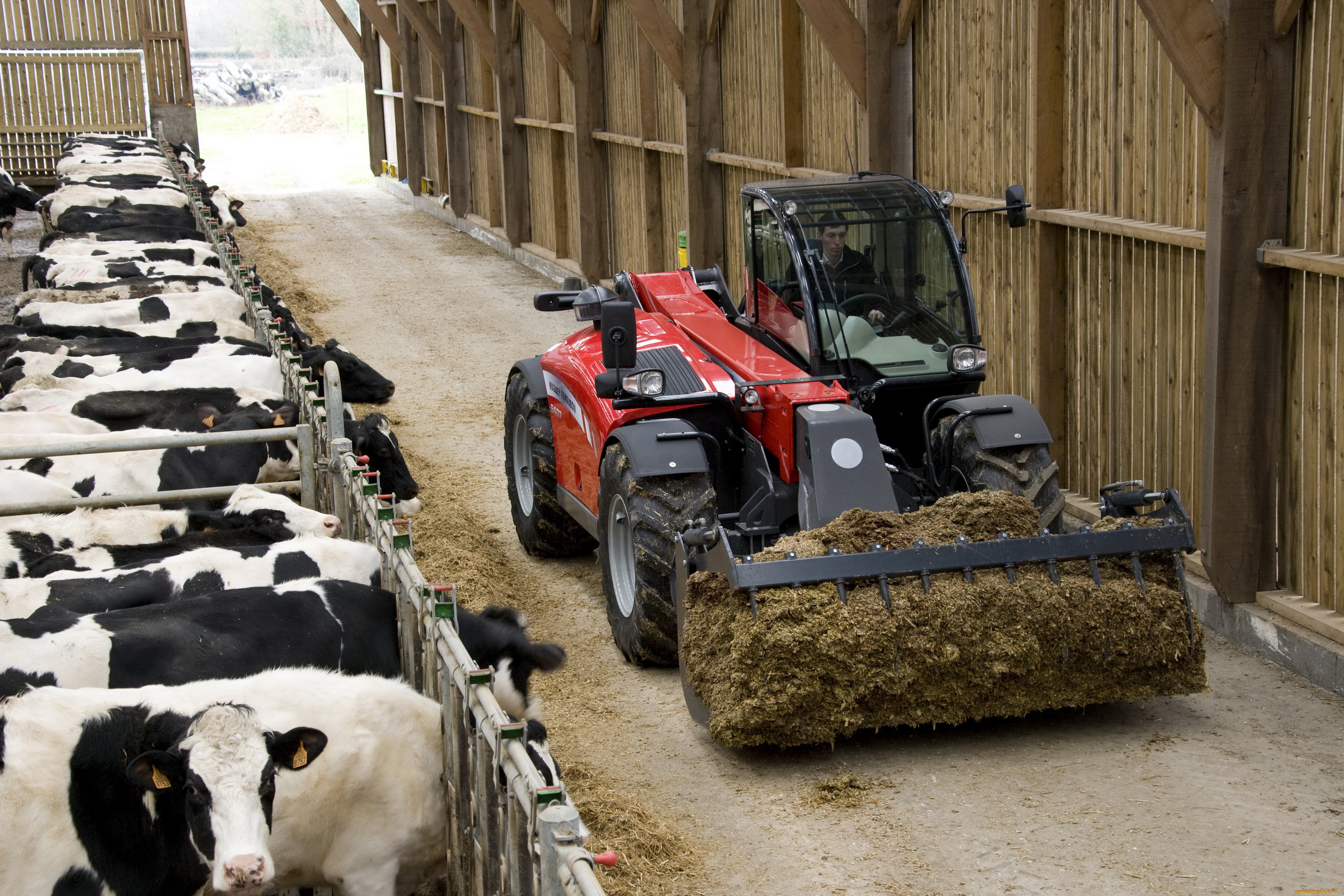 техника, другое, massey