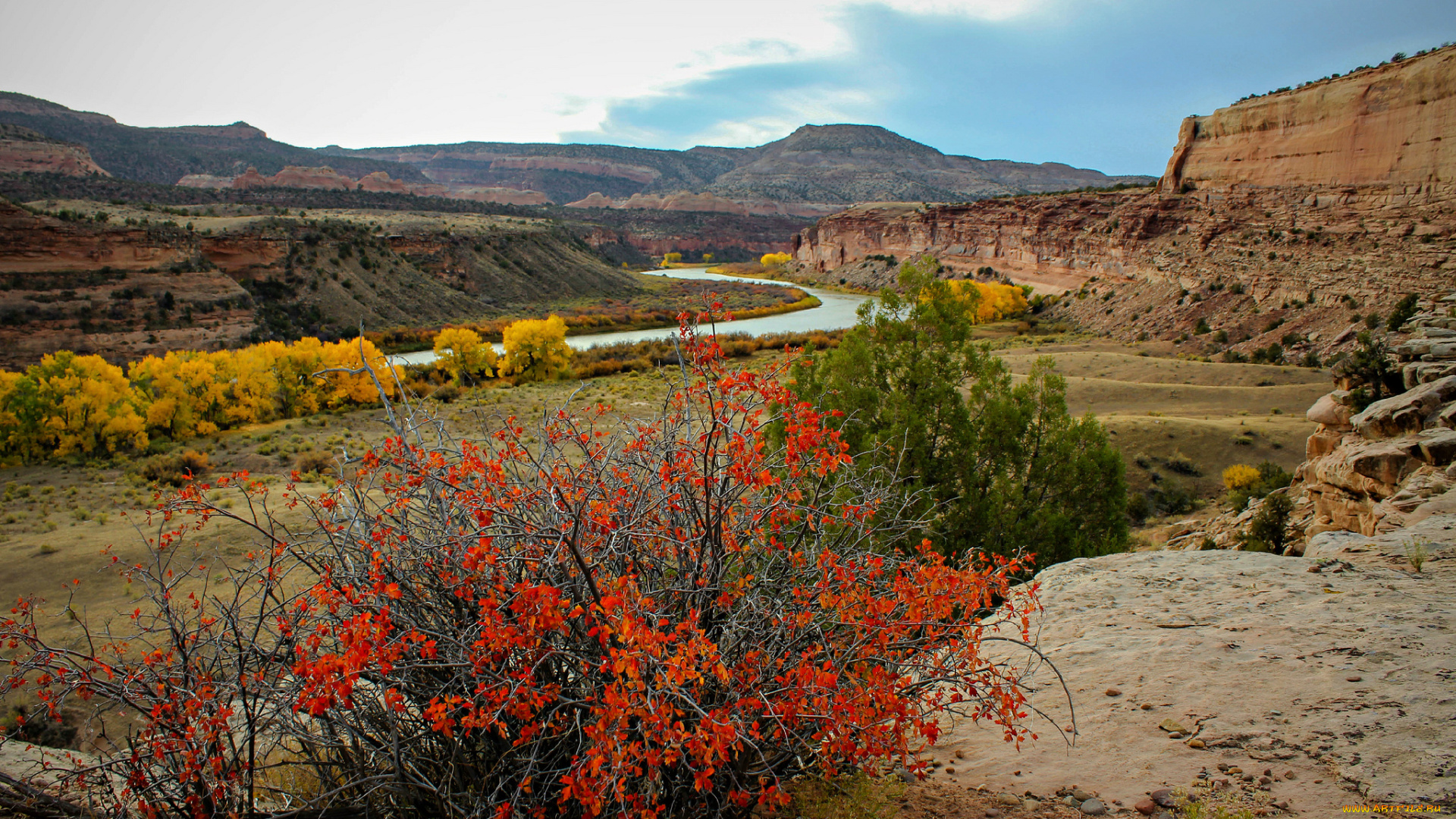 природа, пейзажи, простор