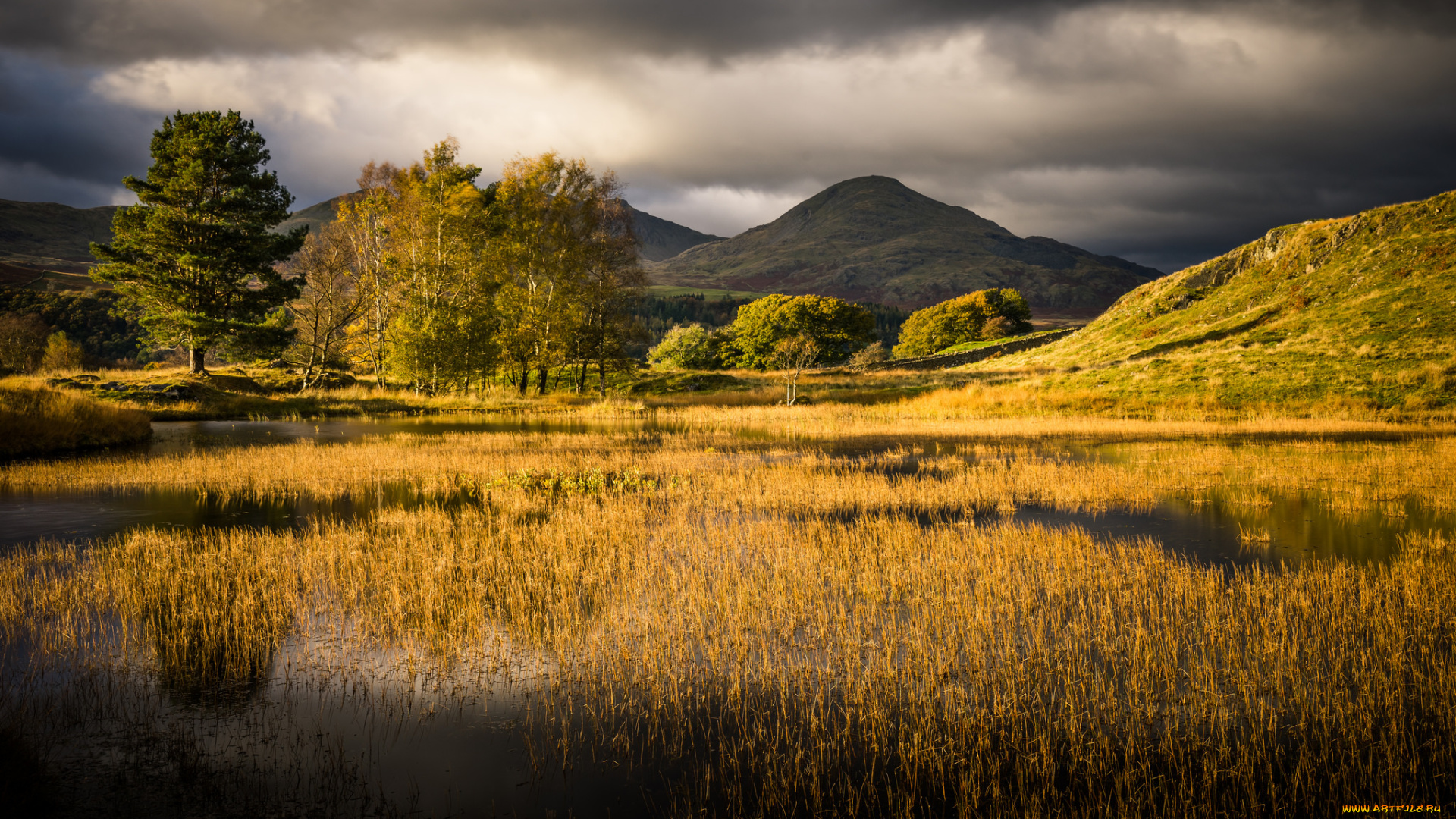 природа, реки, озера, простор