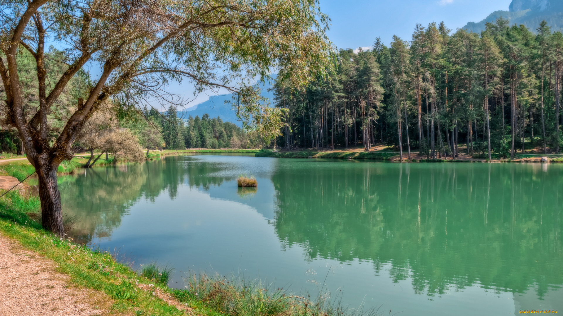 природа, реки, озера, простор