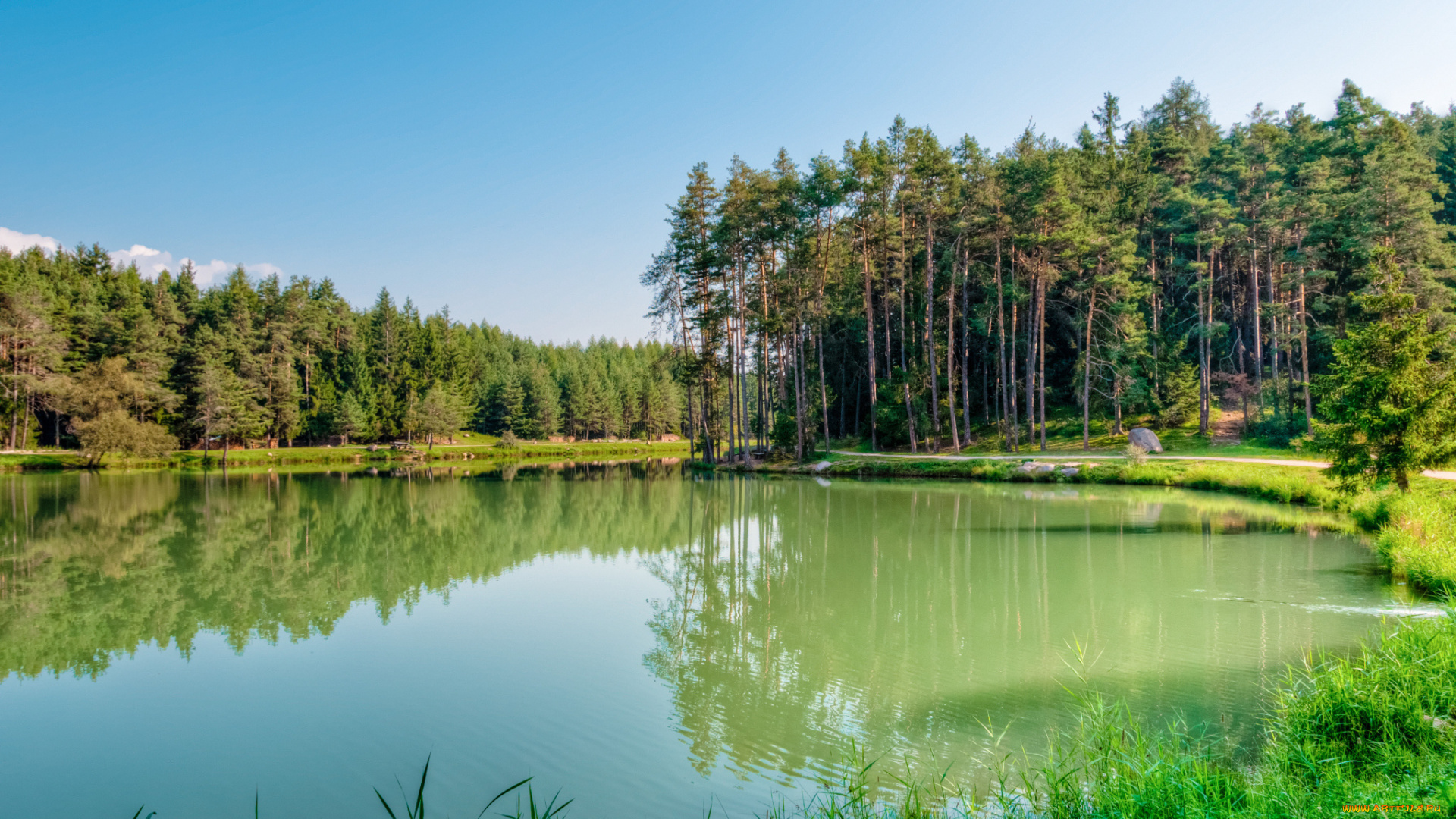 природа, реки, озера, простор