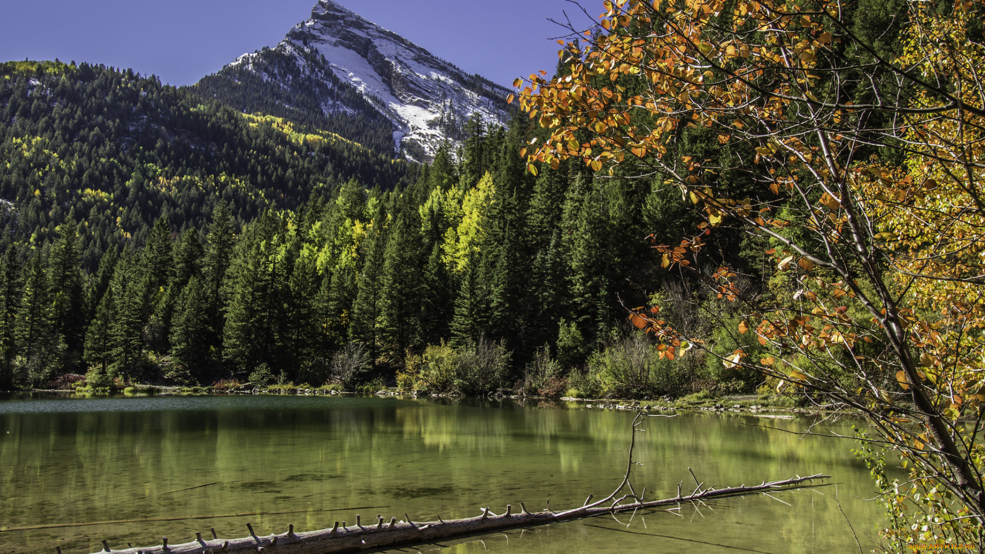 природа, реки, озера, простор