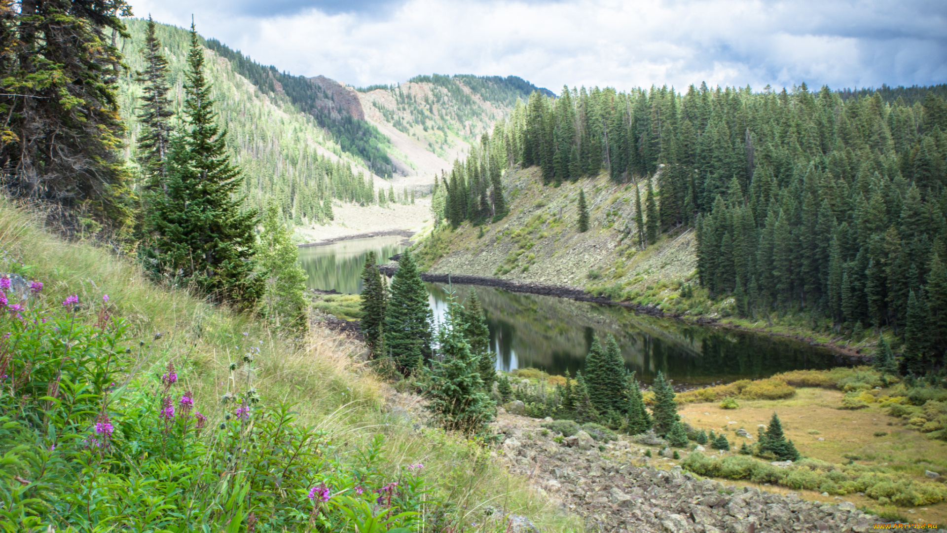 природа, реки, озера, простор