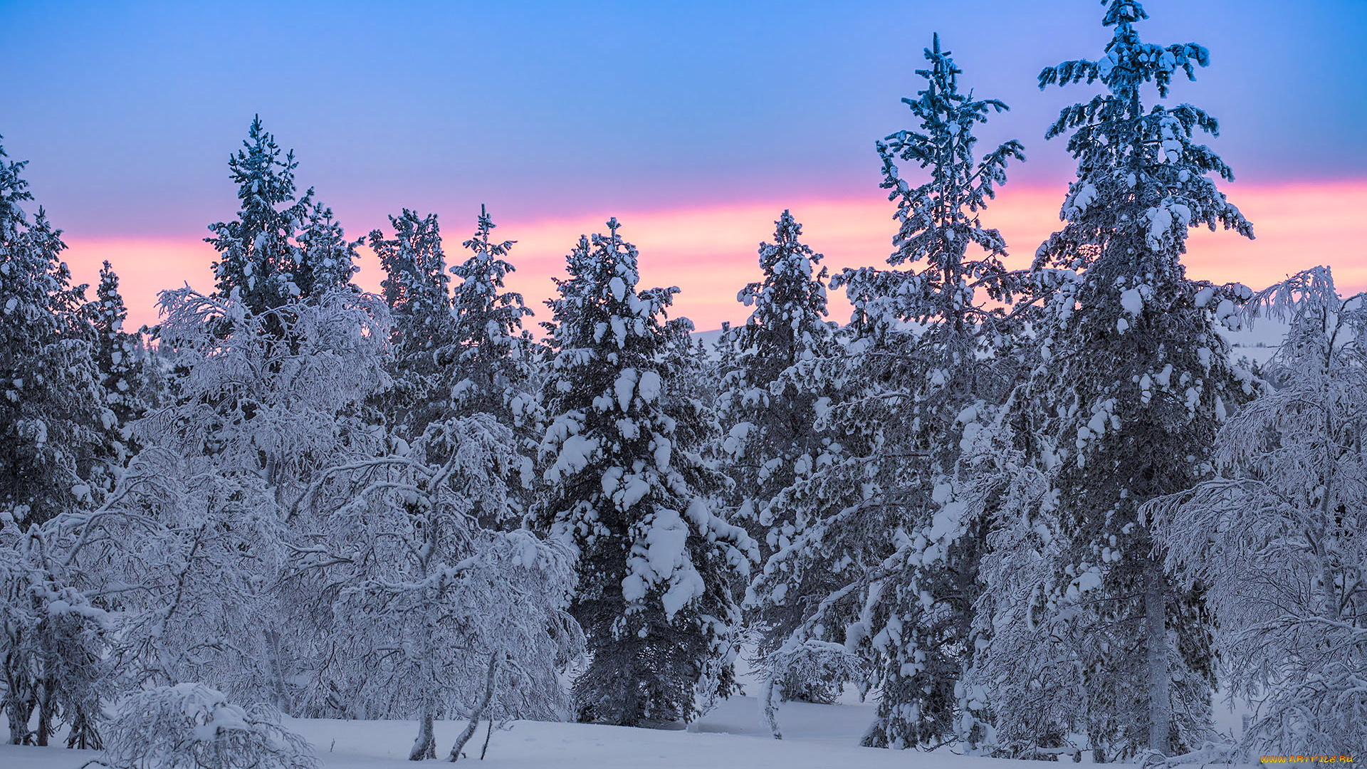 природа, зима, finland, lapland, финляндия, лапландия, снег, деревья