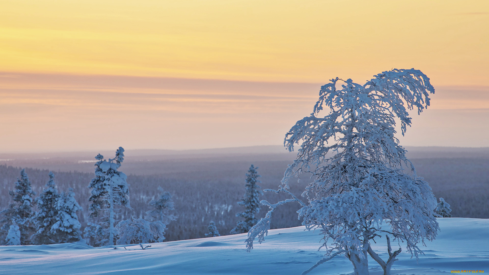 природа, зима, finland, lapland, финляндия, лапландия, снег, деревья
