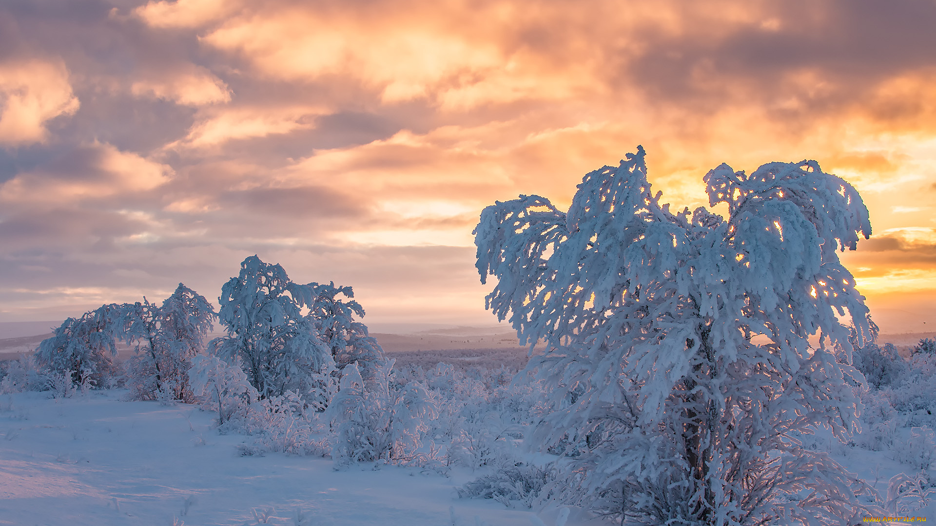 природа, зима, finland, lapland, финляндия, лапландия, снег, деревья