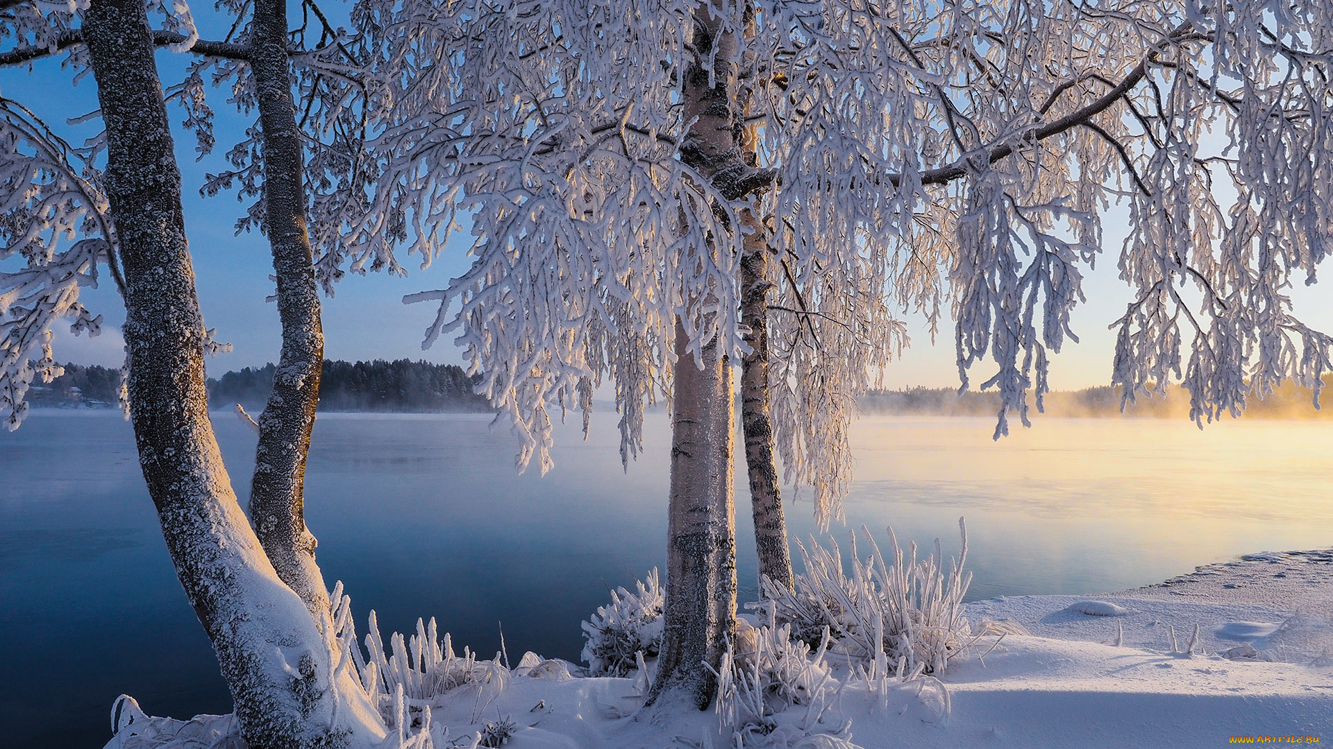 природа, зима, finland, lapland, финляндия, лапландия, снег, деревья