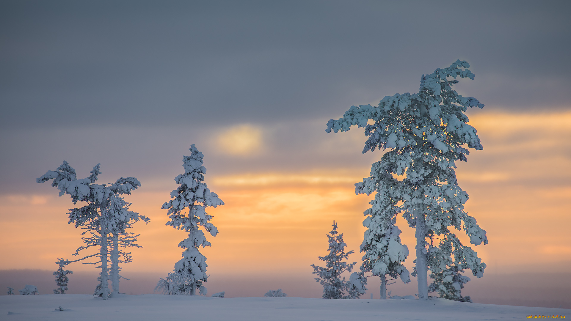 природа, зима, finland, lapland, финляндия, лапландия, снег, деревья