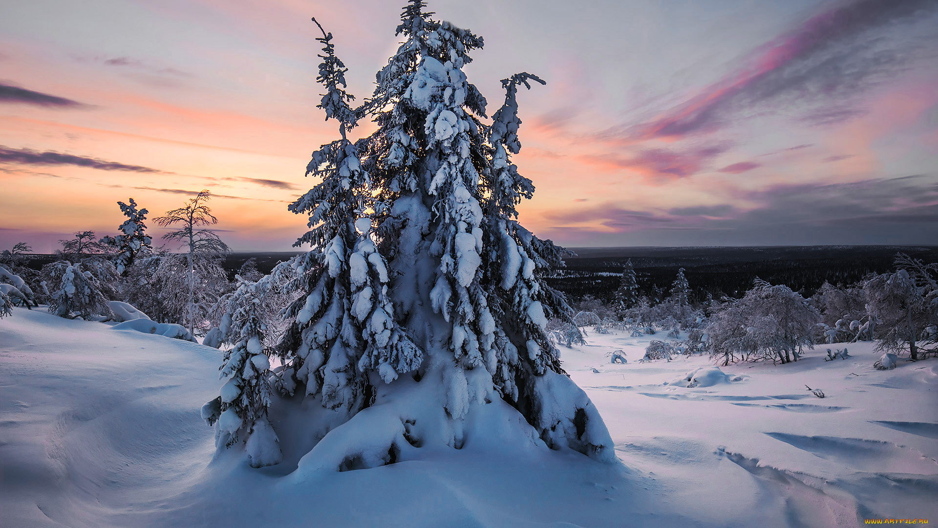 природа, зима, finland, lapland, финляндия, лапландия, снег, деревья