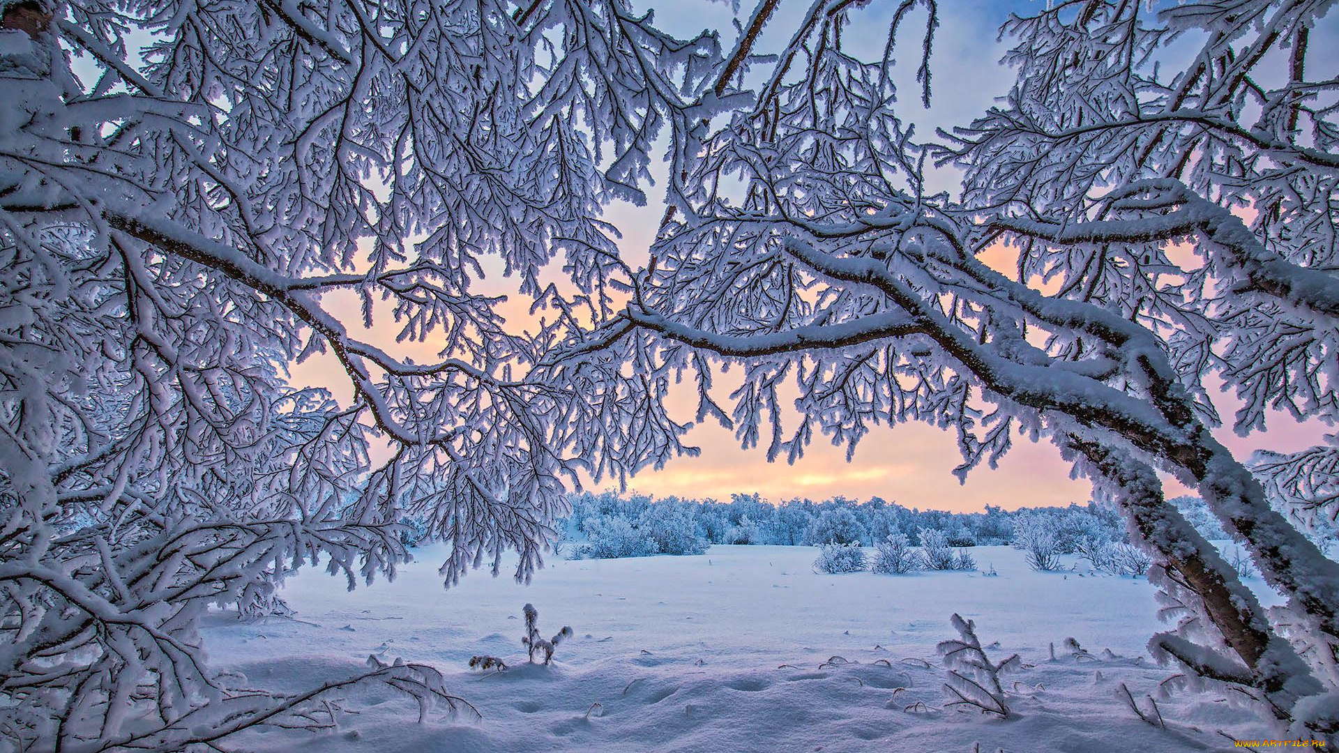 природа, зима, finland, lapland, финляндия, лапландия, снег, деревья