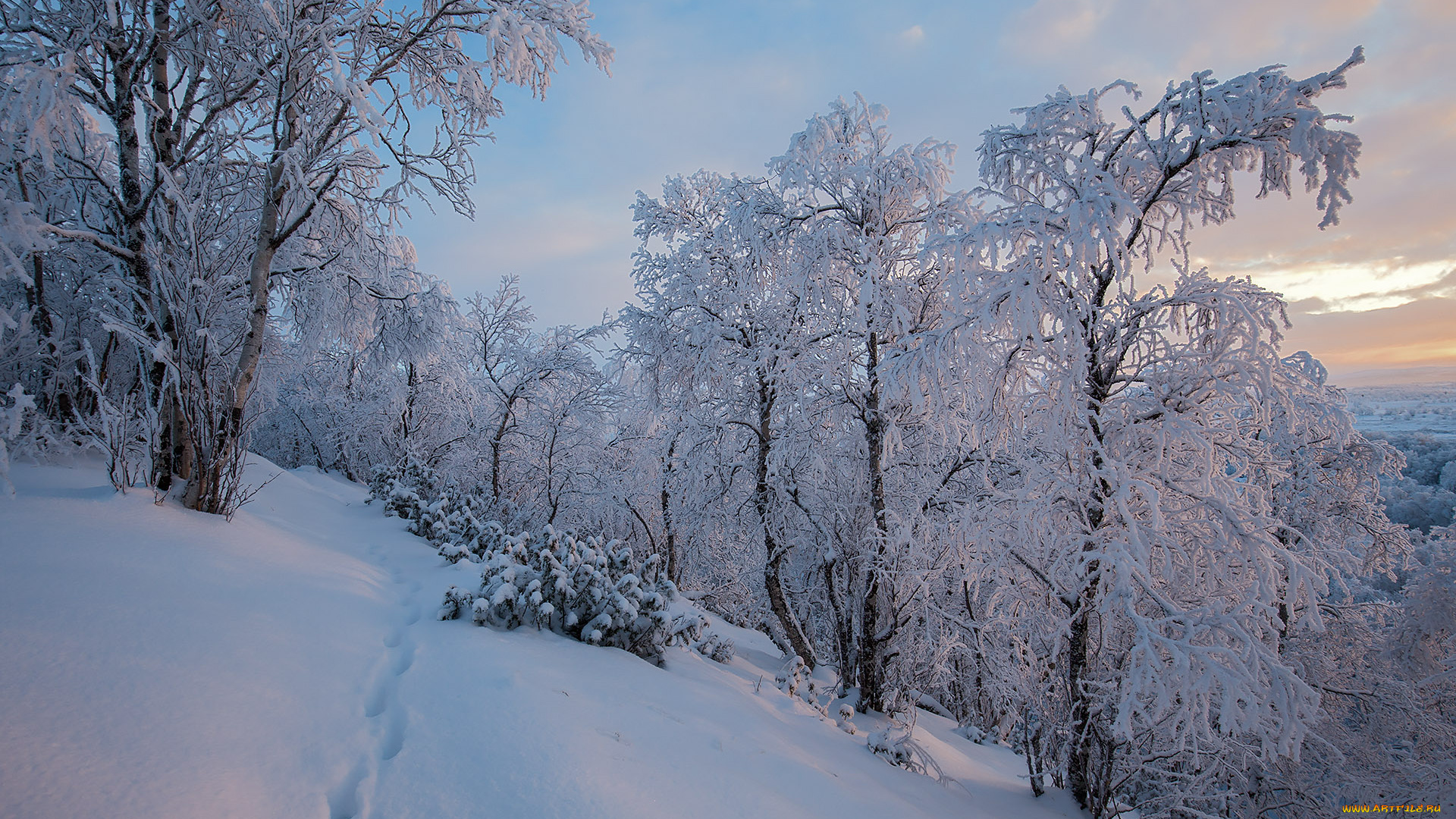 природа, зима, finland, lapland, финляндия, лапландия, снег, деревья