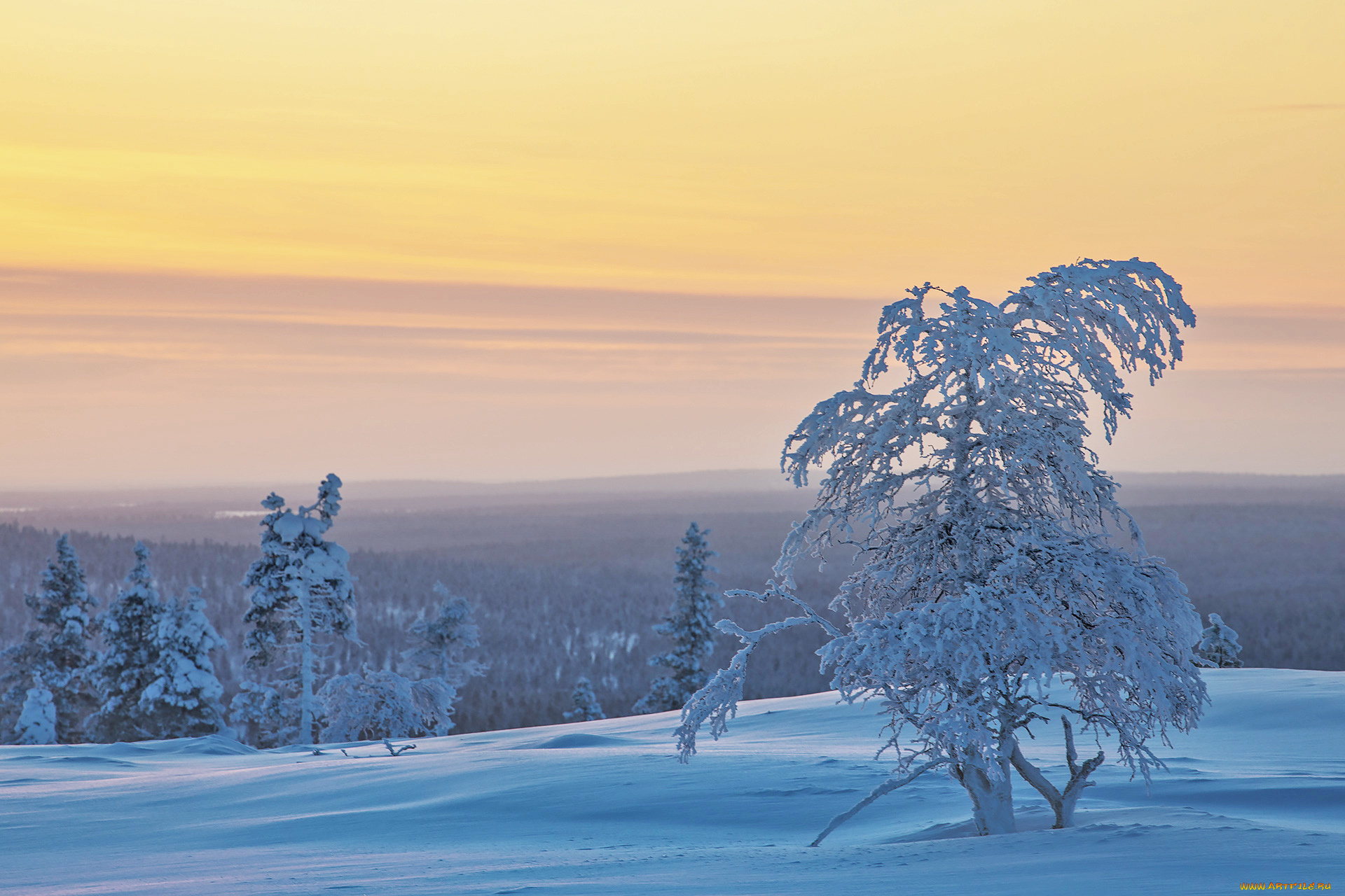 природа, зима, finland, lapland, финляндия, лапландия, снег, деревья