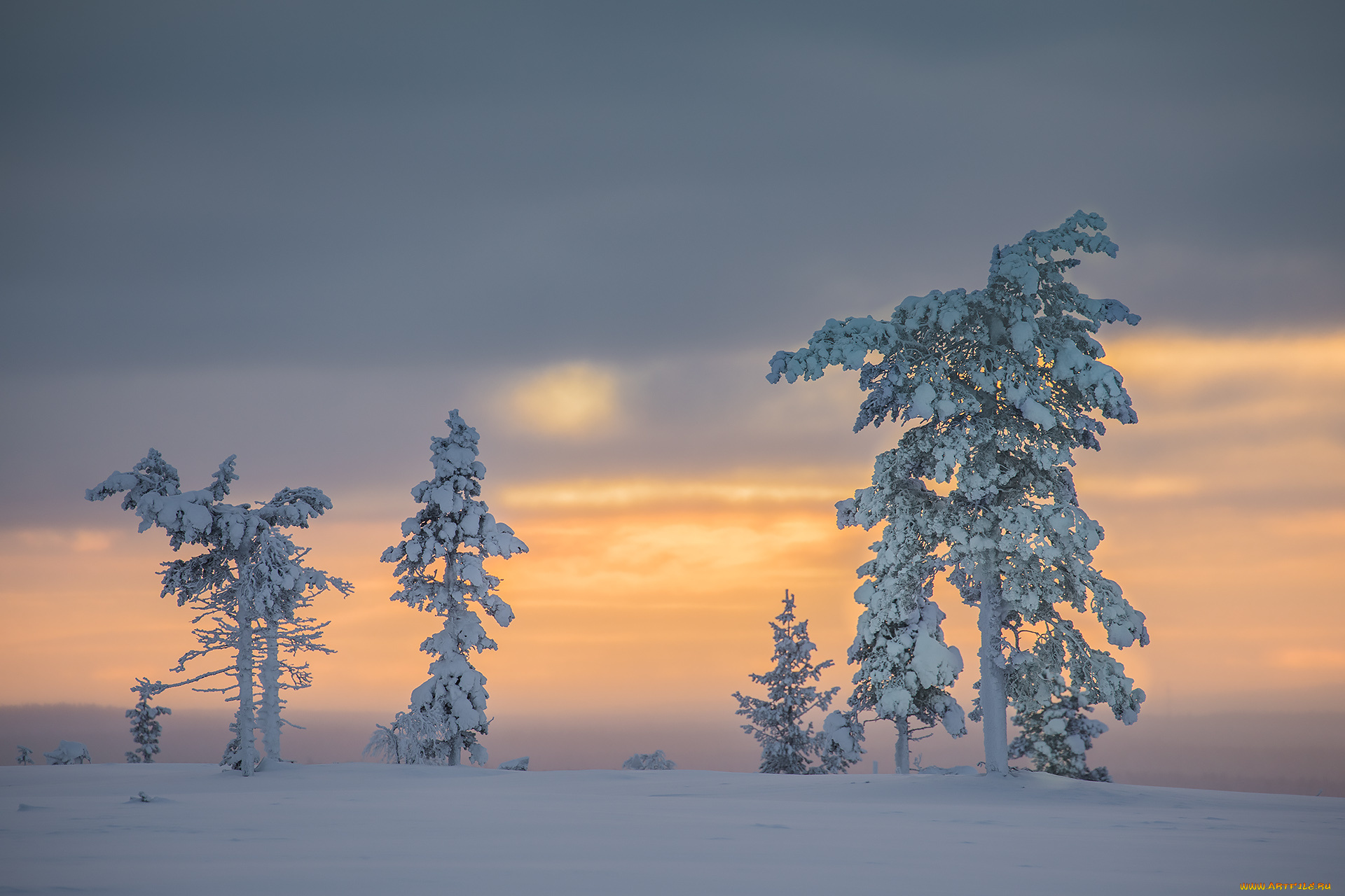 природа, зима, finland, lapland, финляндия, лапландия, снег, деревья