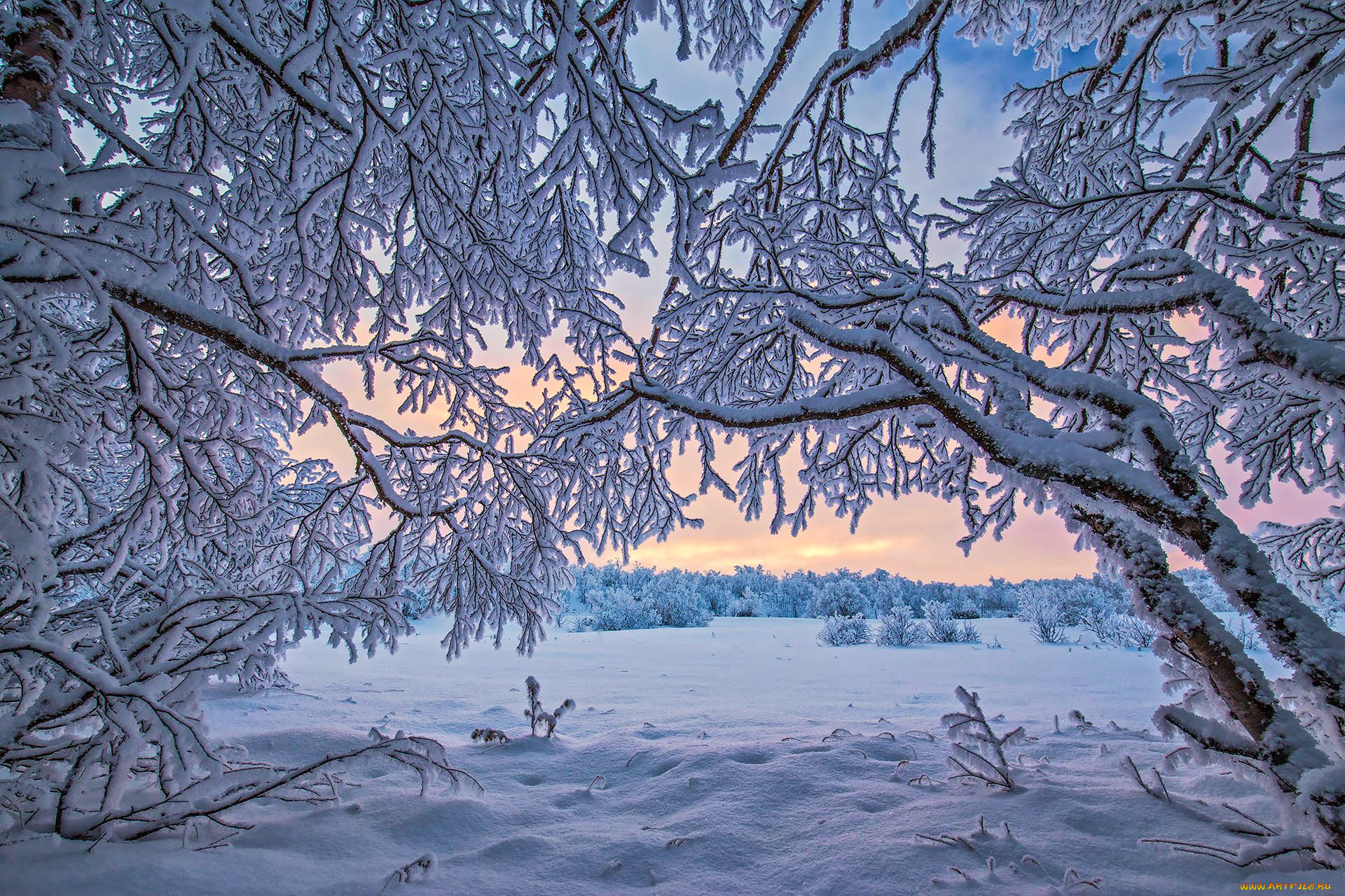 природа, зима, finland, lapland, финляндия, лапландия, снег, деревья