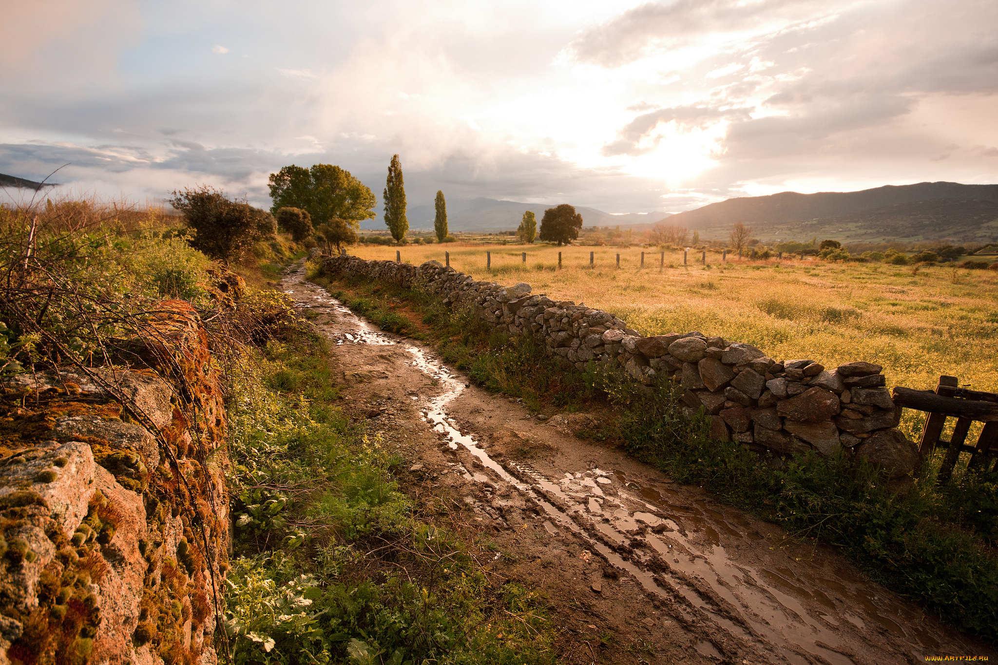 природа, дороги, простор