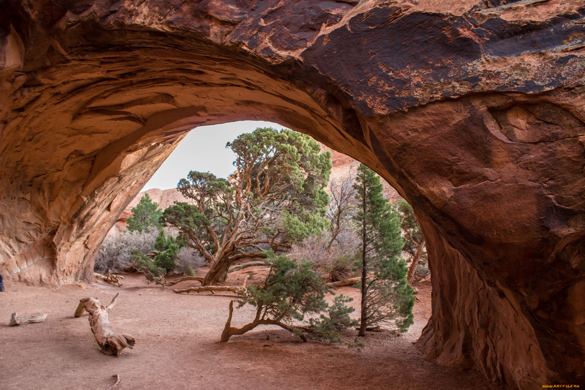 природа, горы, простор