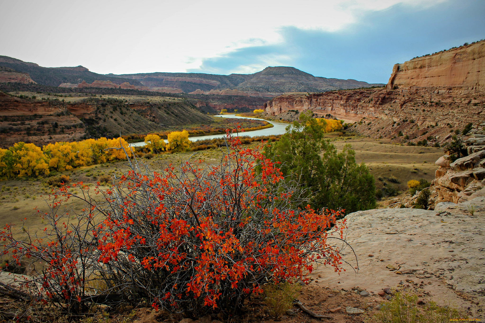 природа, пейзажи, простор