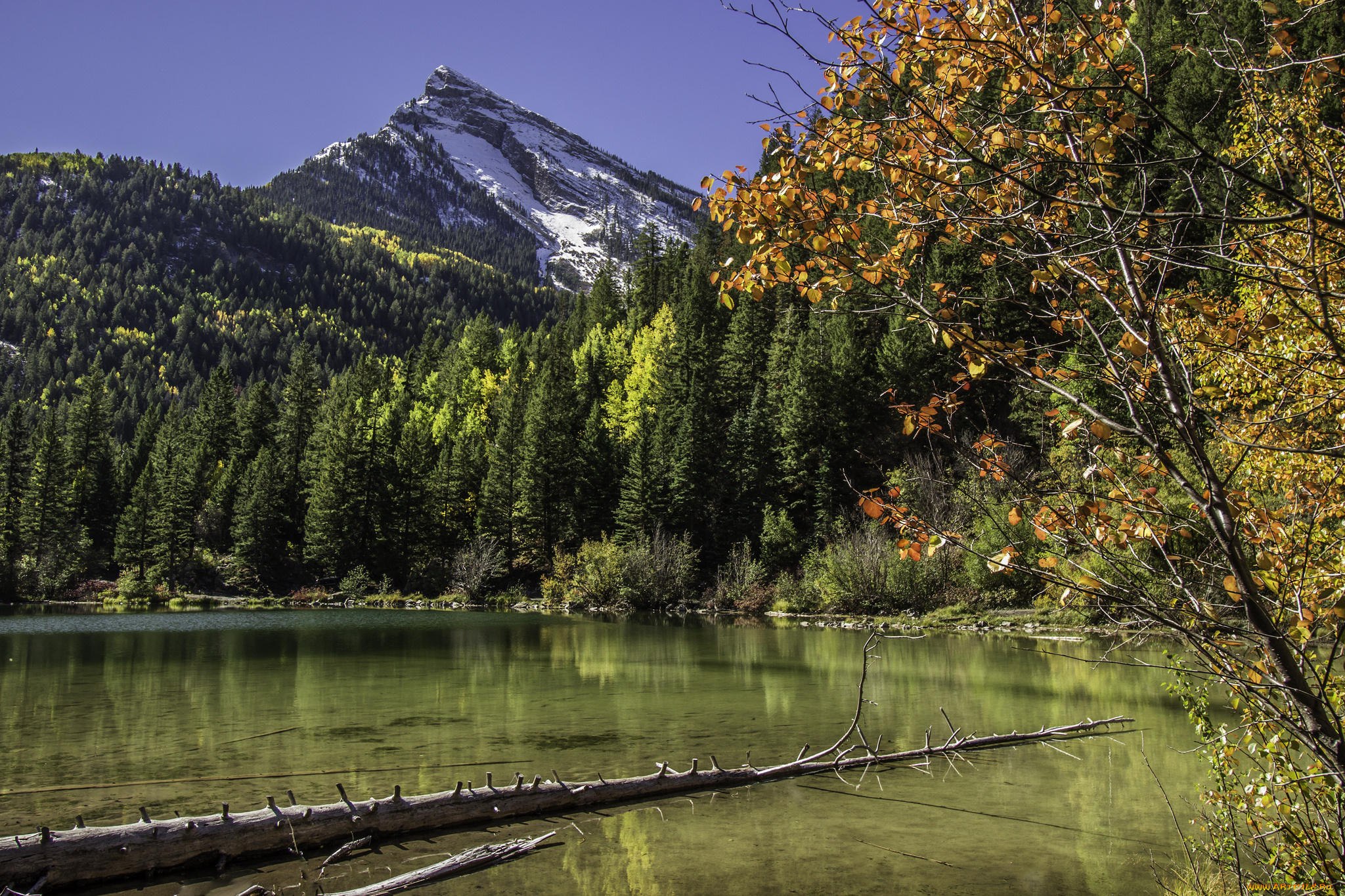 природа, реки, озера, простор