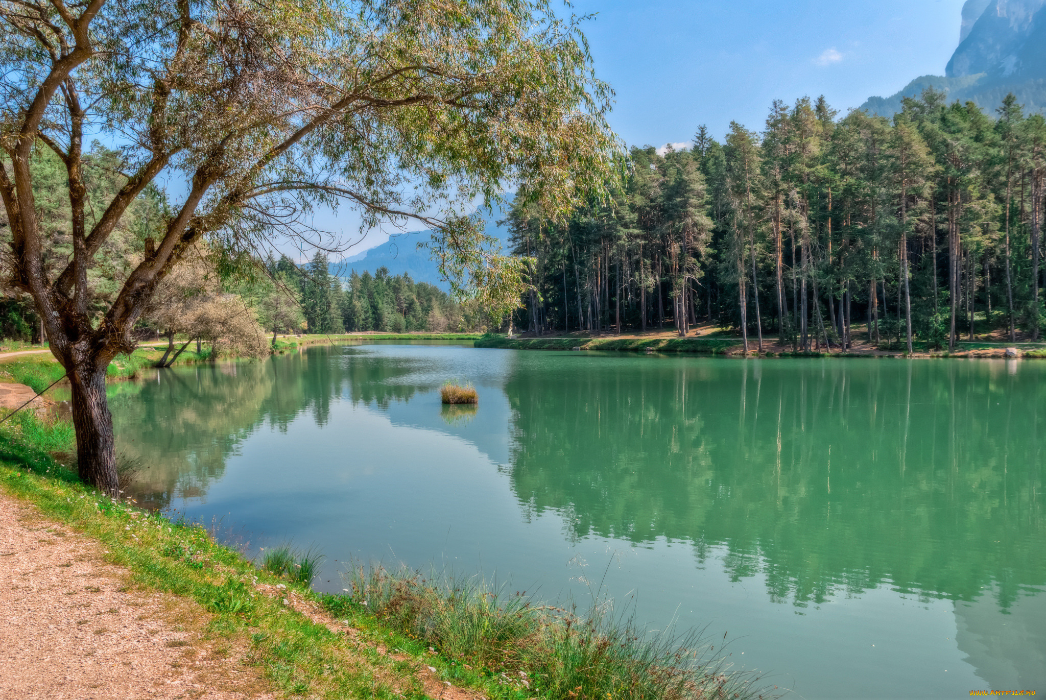 природа, реки, озера, простор