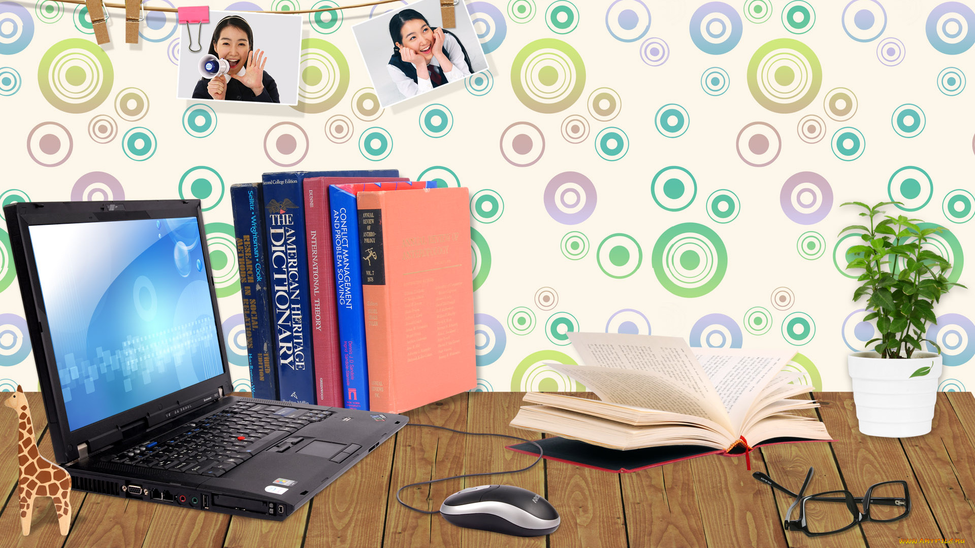 разное, компьютерный, дизайн, жираф, ноутбук, книги, очки, растение, фотографии