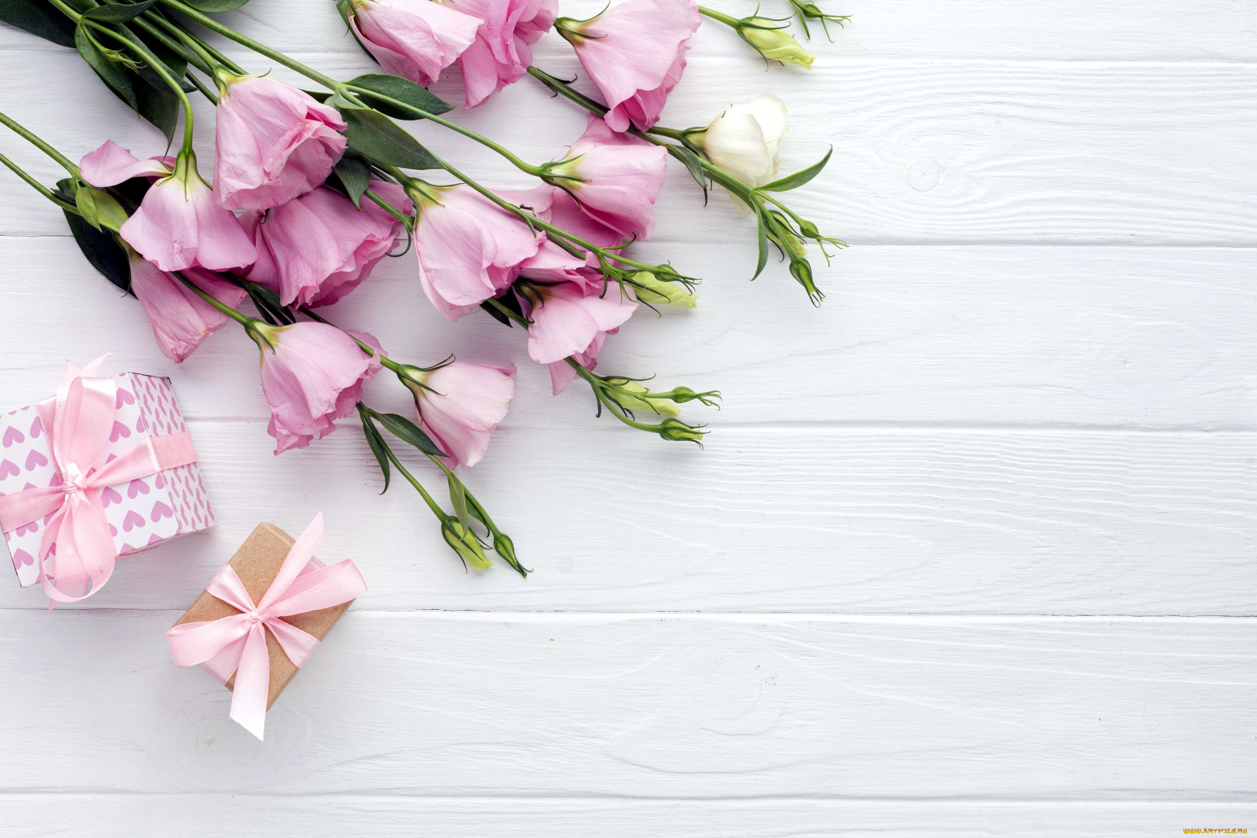 праздничные, подарки, и, коробочки, лента, подарки, эустома, бант