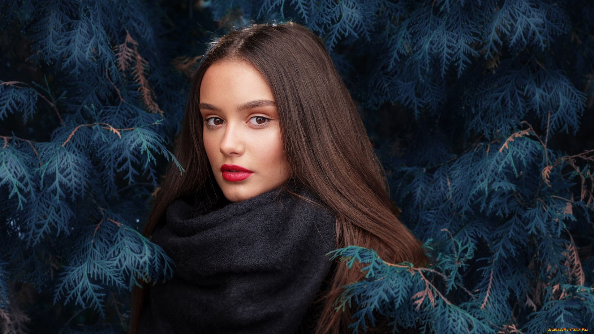 девушки, -, лица, , портреты, карие, глаза, брюнетка, шарф