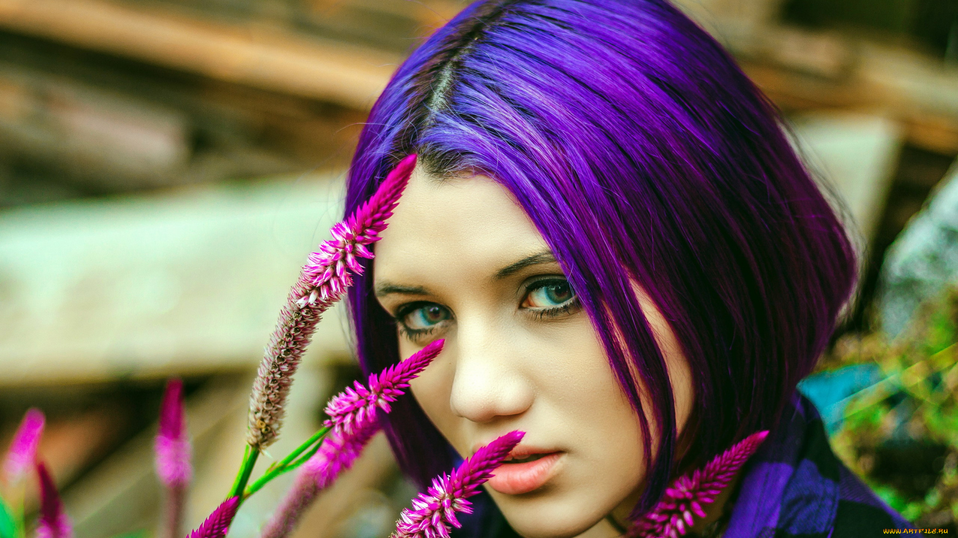 девушки, -, лица, , портреты, необычные, волосы