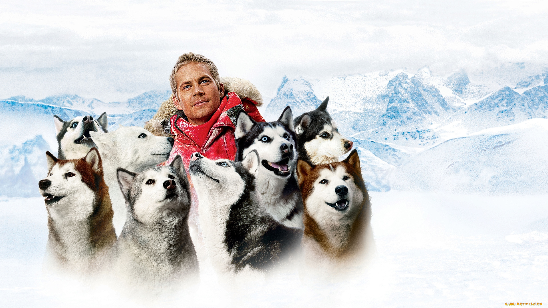 eight, below, , 2006, кино, фильмы, eight, below, белый, плен, постер, драма, пол, уокер, entertainment, eight, below, paul, walker