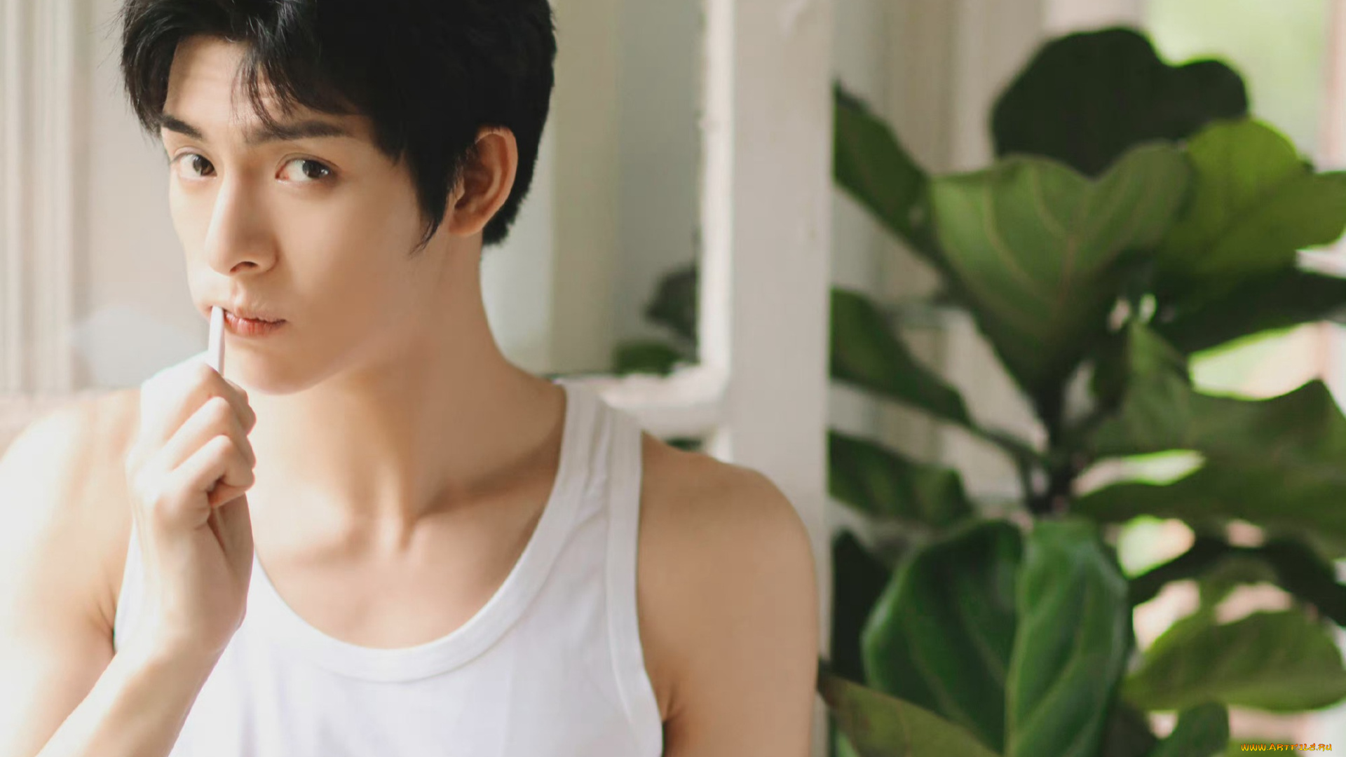 мужчины, wang, hao, xuan, ван, хао, сюань