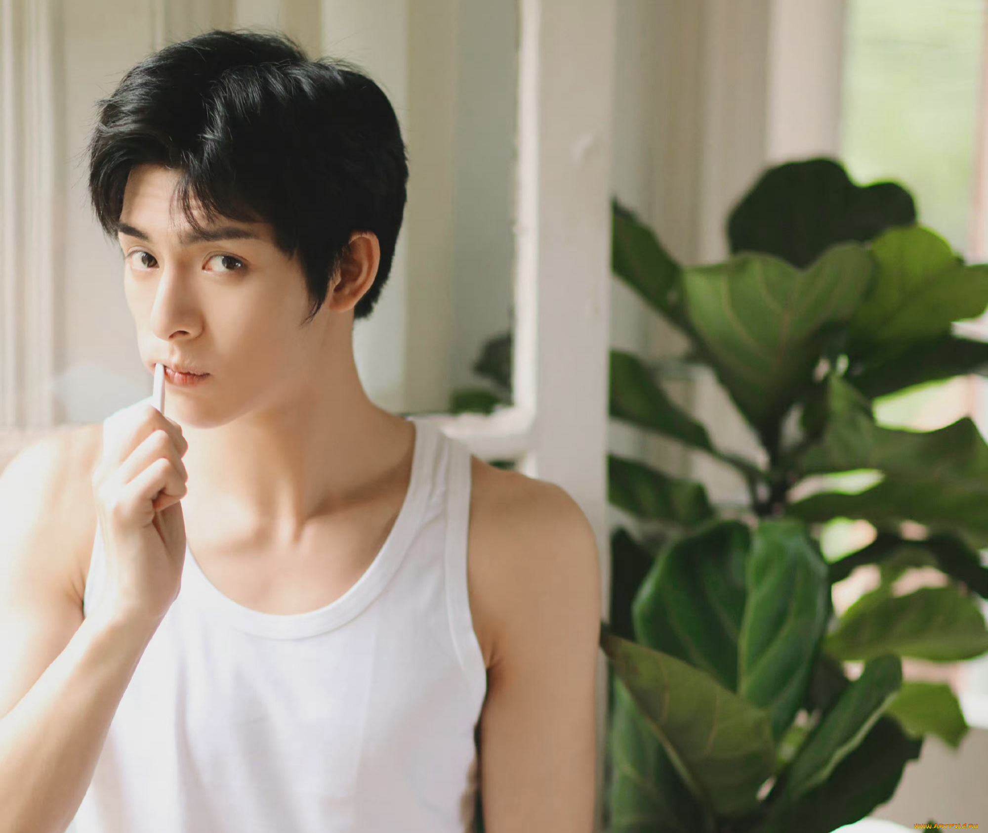 мужчины, wang, hao, xuan, ван, хао, сюань