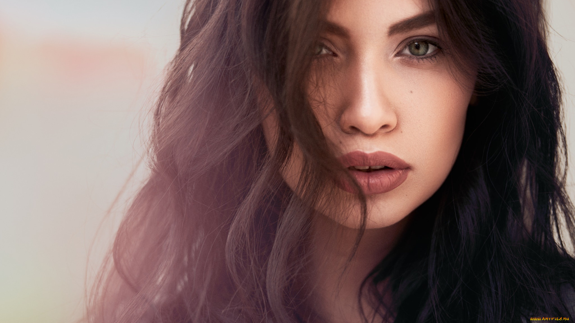 девушки, -, лица, , портреты, брюнетка, портрет