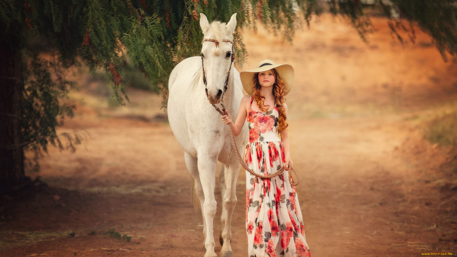 девушки, -, рыжеволосые, и, разноцветные, белая, лошадь, длинное, платье, рыжие, волосы, шляпа