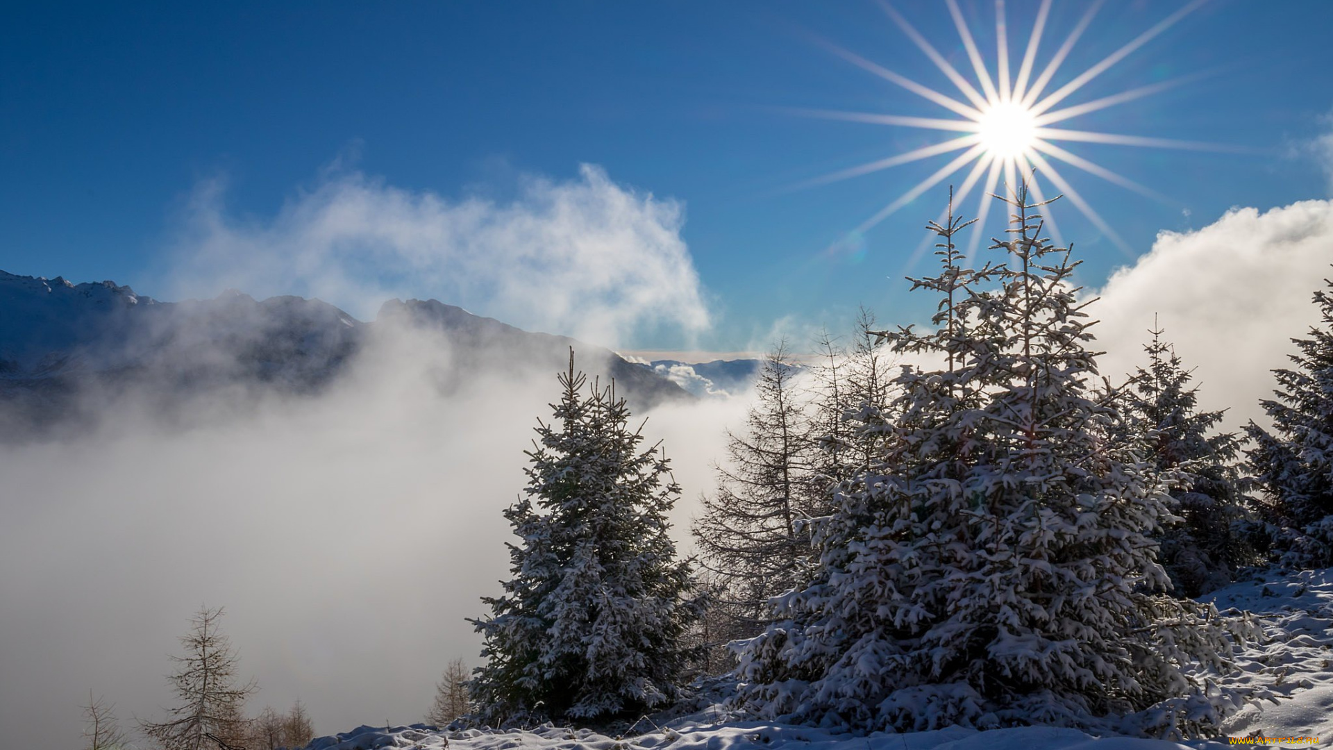 природа, зима, снег