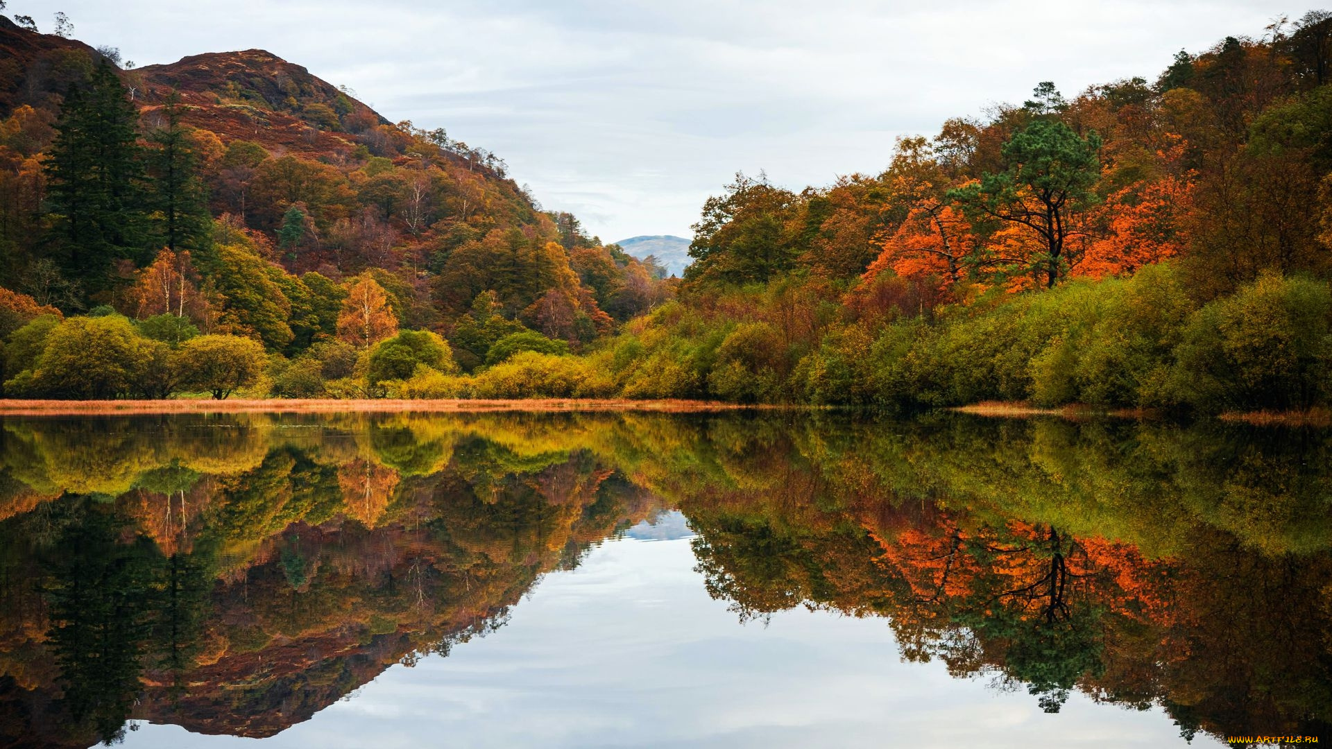 yew, tree, tarn, lake, district, uk, природа, реки, озера, yew, tree, tarn, lake, district