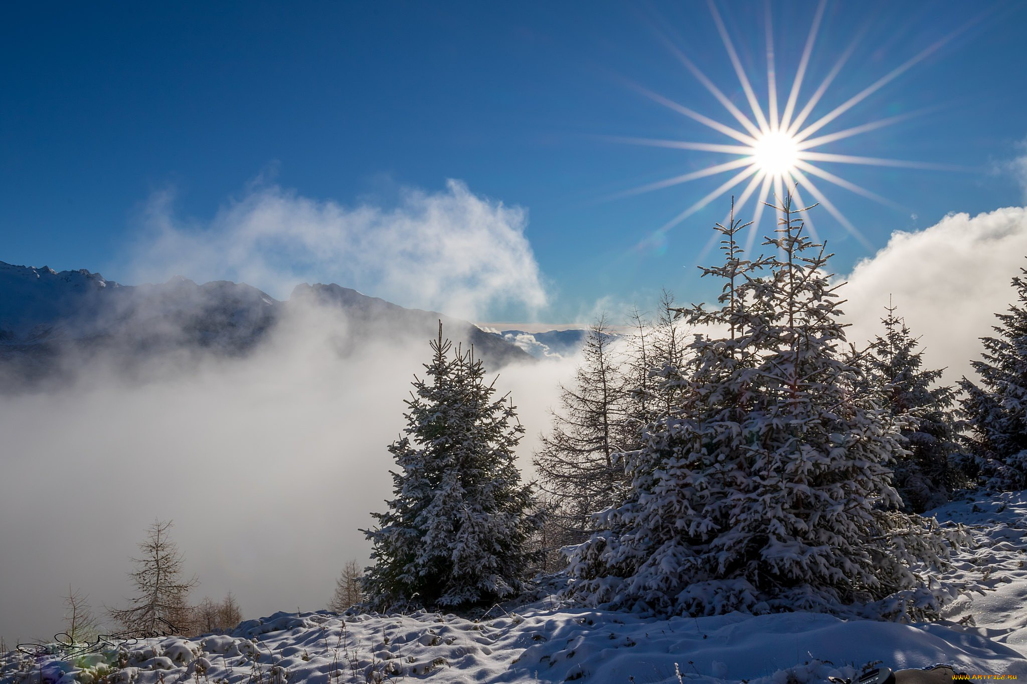 природа, зима, снег