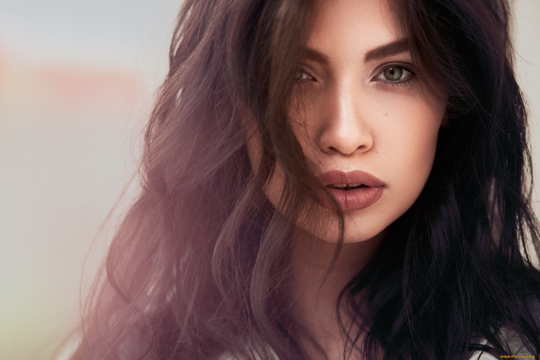 девушки, -, лица, , портреты, брюнетка, портрет