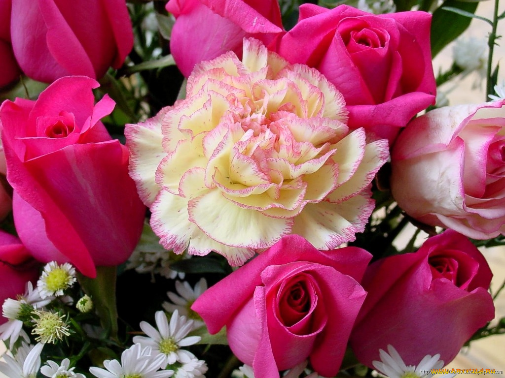 цветы, разные, вместе