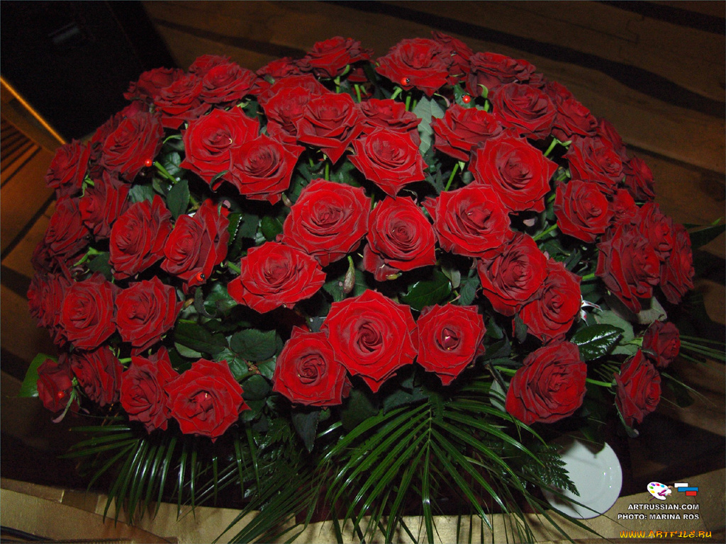 цветы, розы