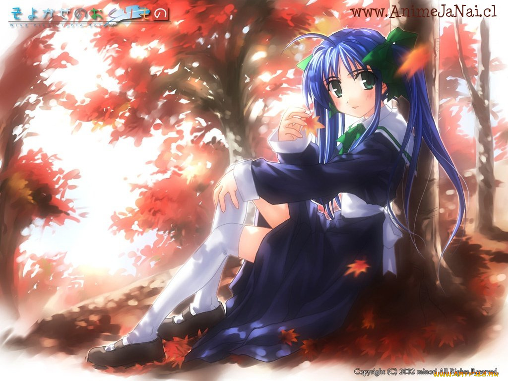 аниме, wind, breath, of, heart