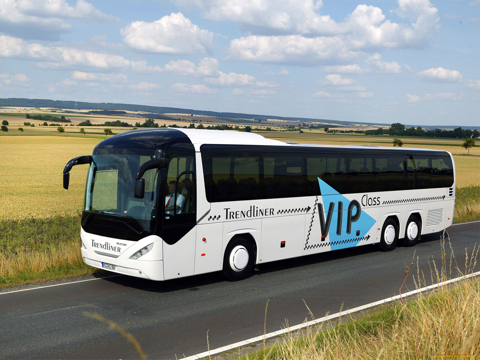 автомобили, автобусы