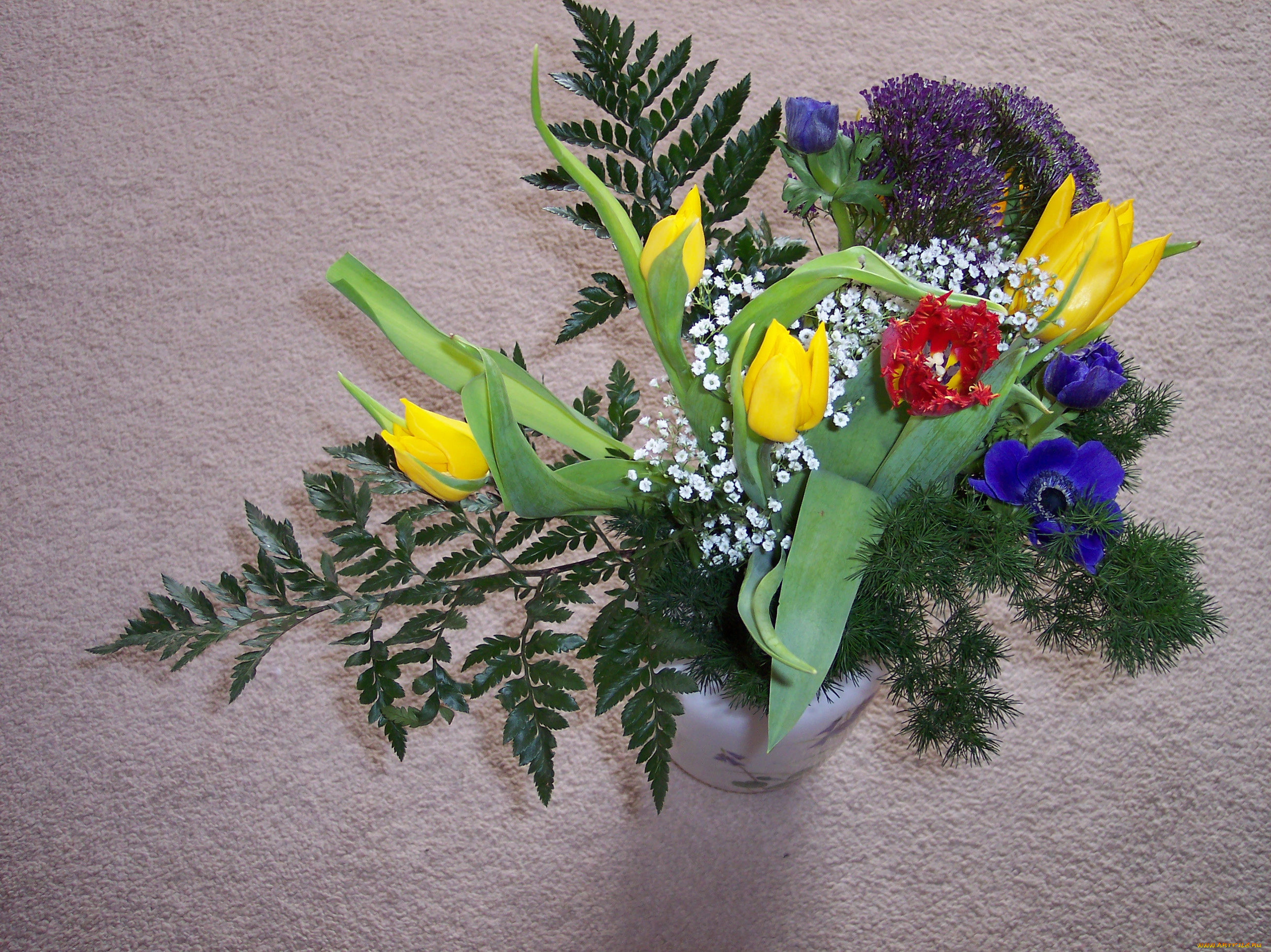 цветы, букеты, композиции