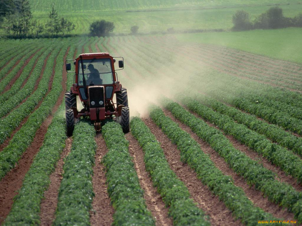 техника, тракторы