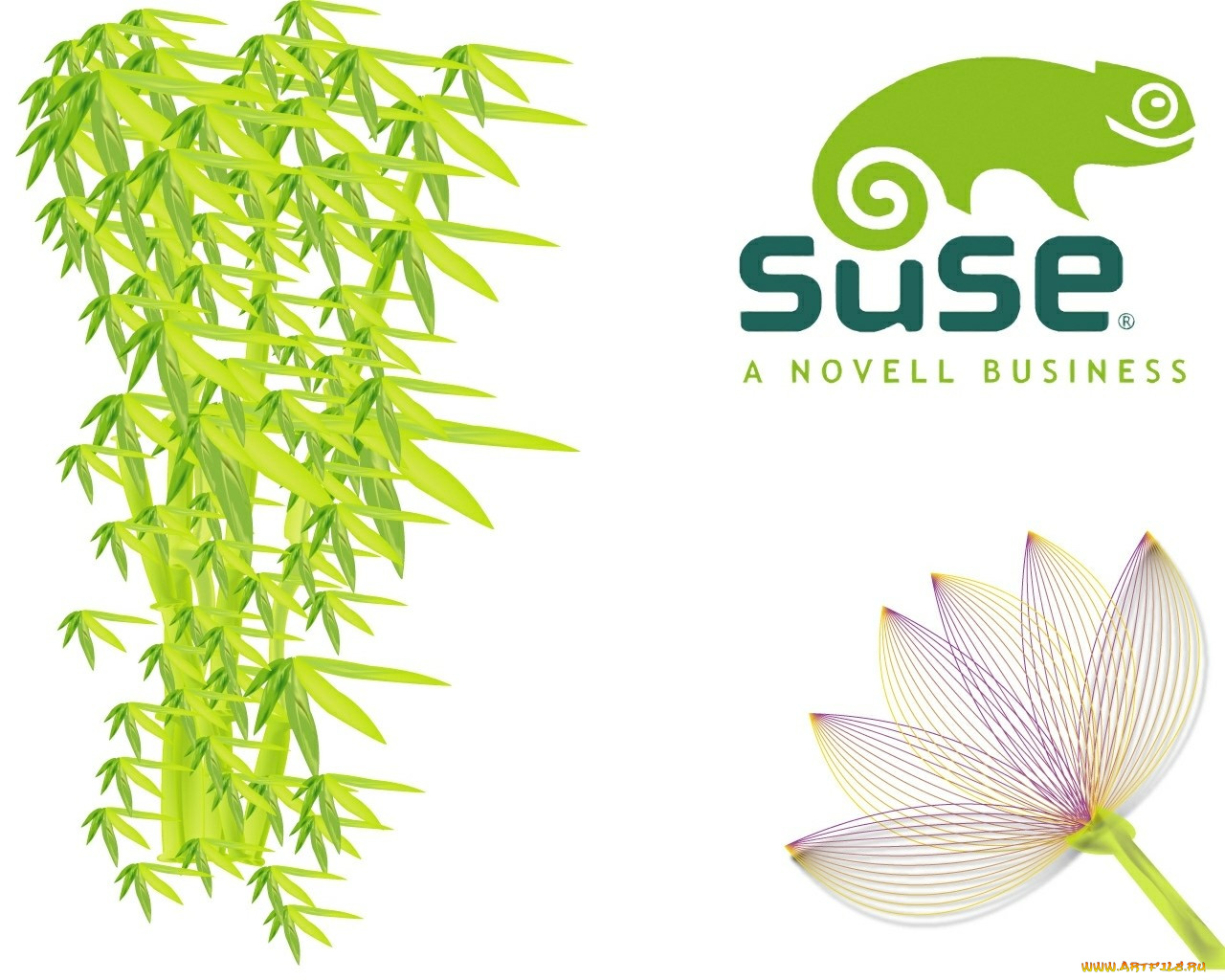 компьютеры, linux